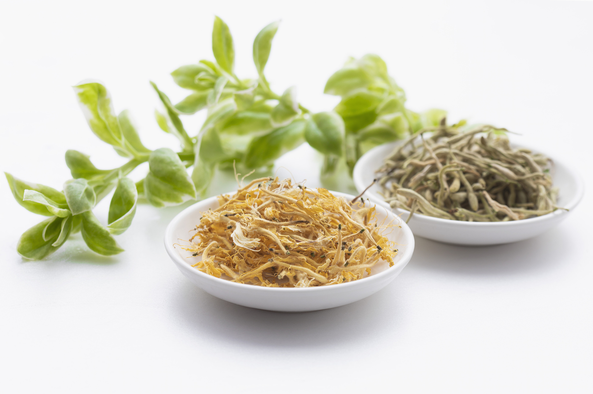 贵州中医药职业学校招生要求用