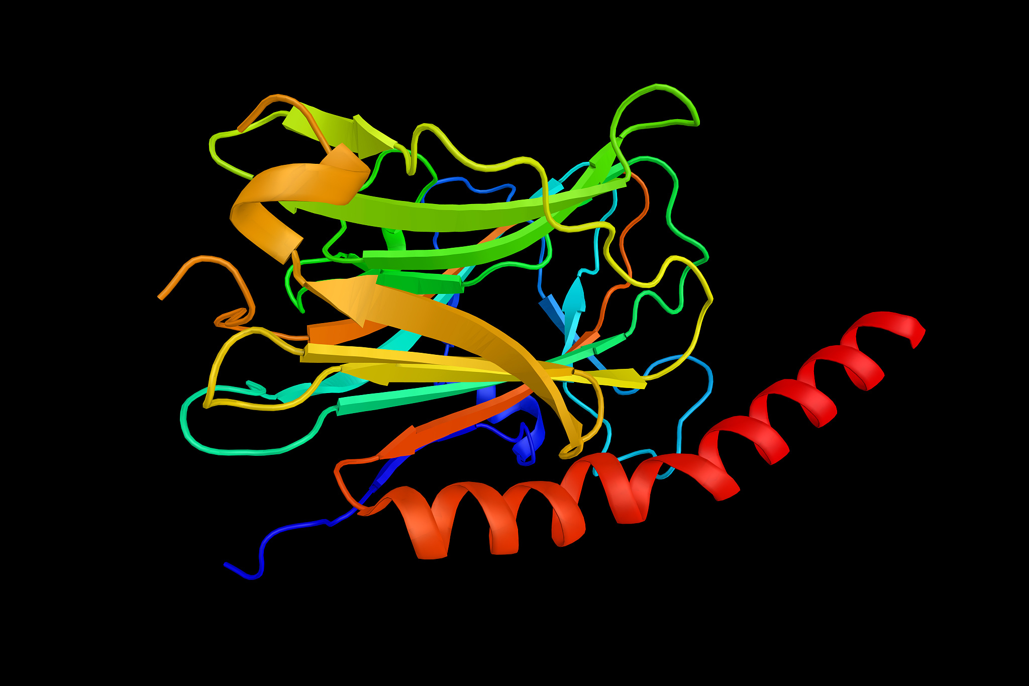 高尔基体RS受体与蛋白质运输：生物选择题解析