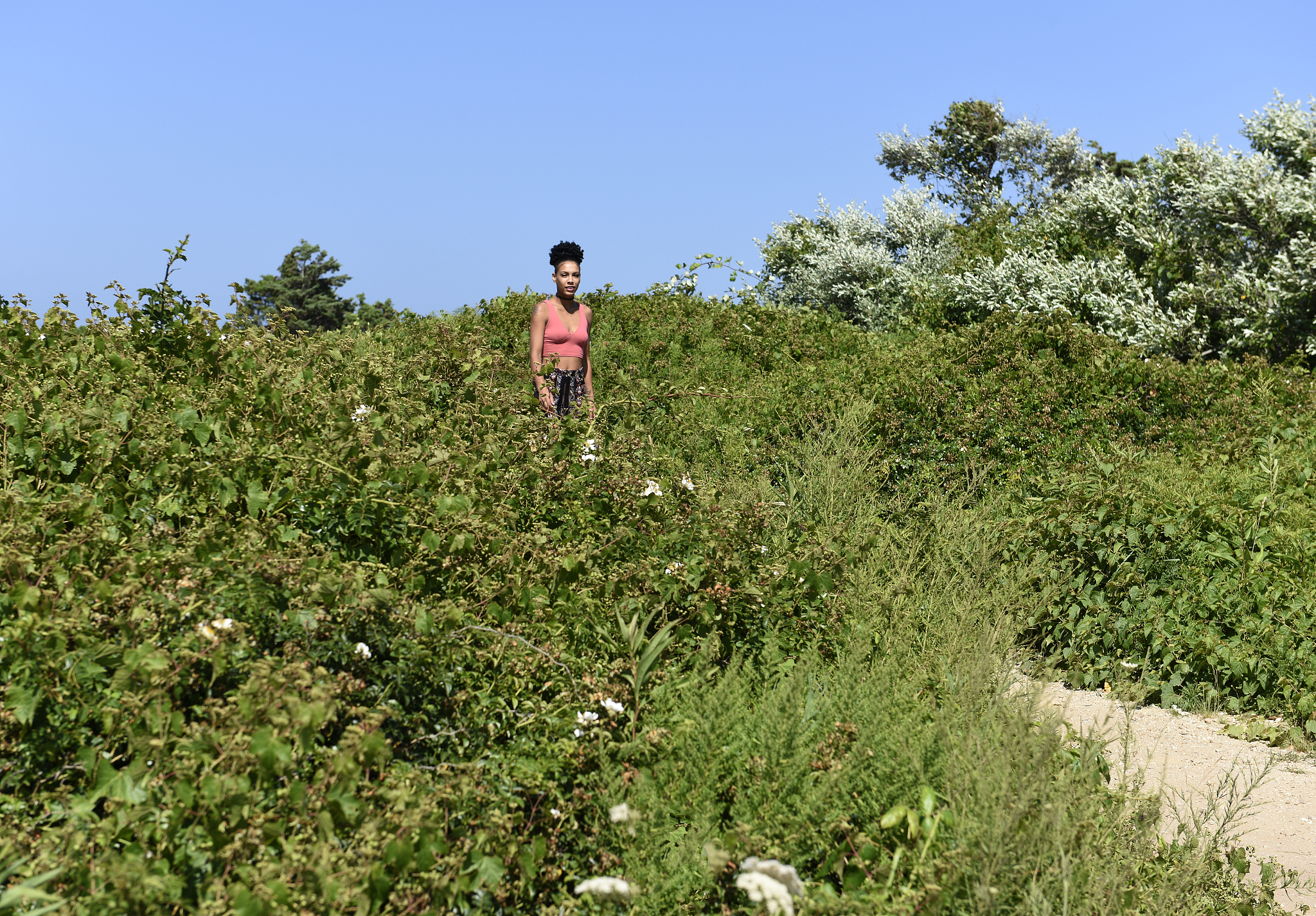 关于商洛核桃产业发展对策中加快标准化核桃园建设的建议不得少于800字。