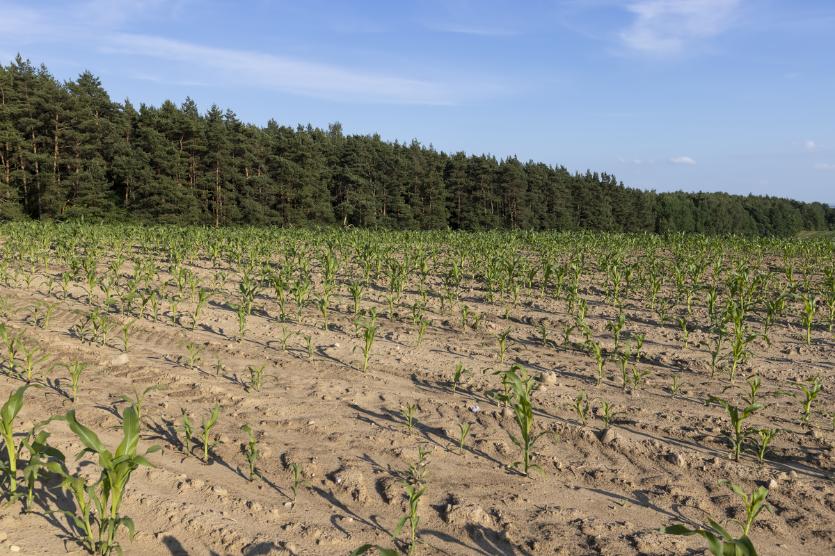 21研究区域概况延安南郊具有代表性的农业区位于黄土高原的边缘地带是一个典型的半干旱雨季农业区域。该区域总面积约为31000平方公里面积约为60其中90以上为旱地。延安南边的半干旱区退化性山地处于内陆腹地气候干燥、水资源贫乏多年平均降水量仅3825毫米最高年降水量达到6525毫米年平均降水最少只有2135毫米年平均降水变化率超过60其中7~9月降水占一年总降水的65；年蒸发量为28945毫米蒸发强度