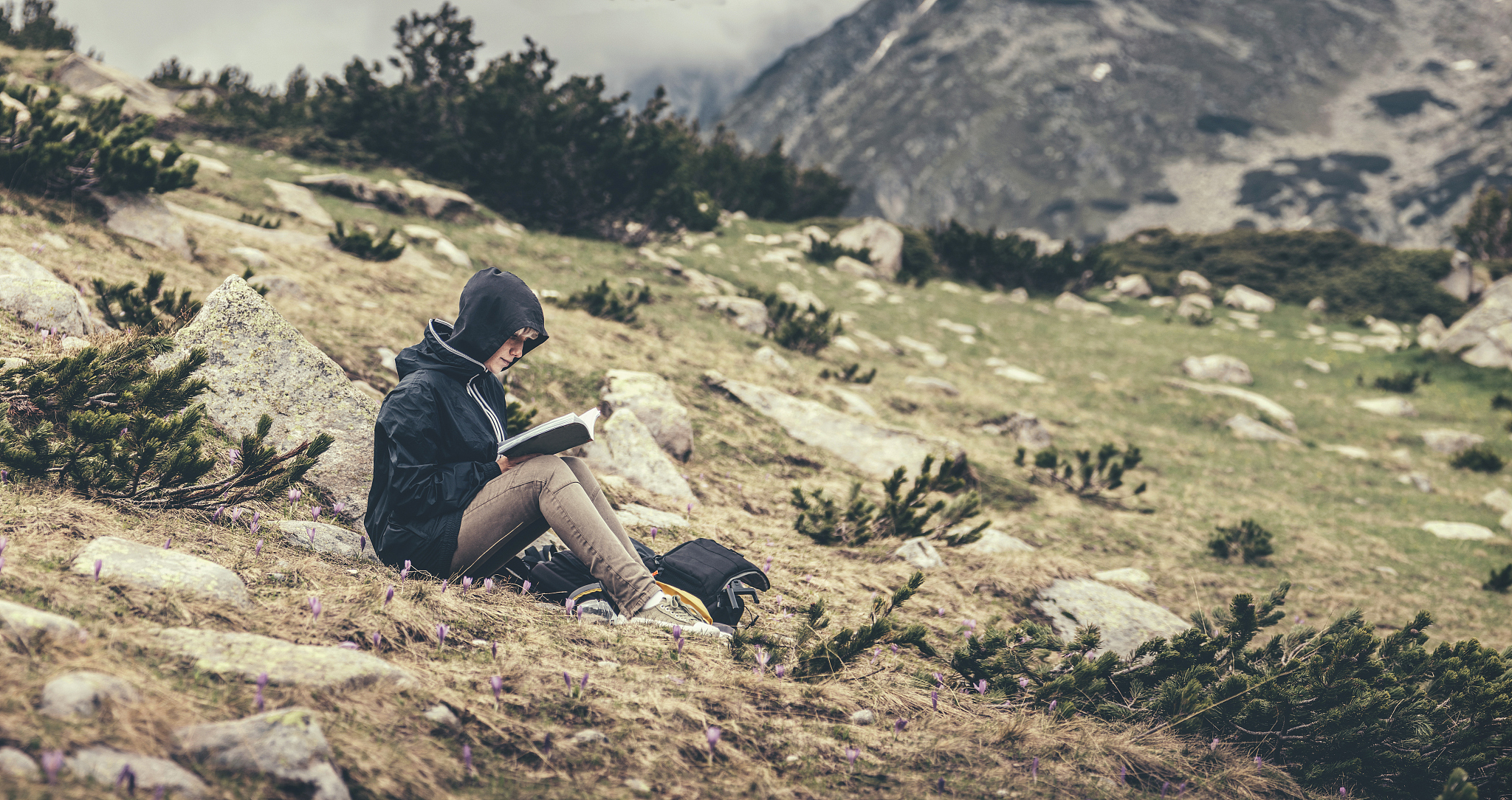 冷笑话：为什么草很聪明？