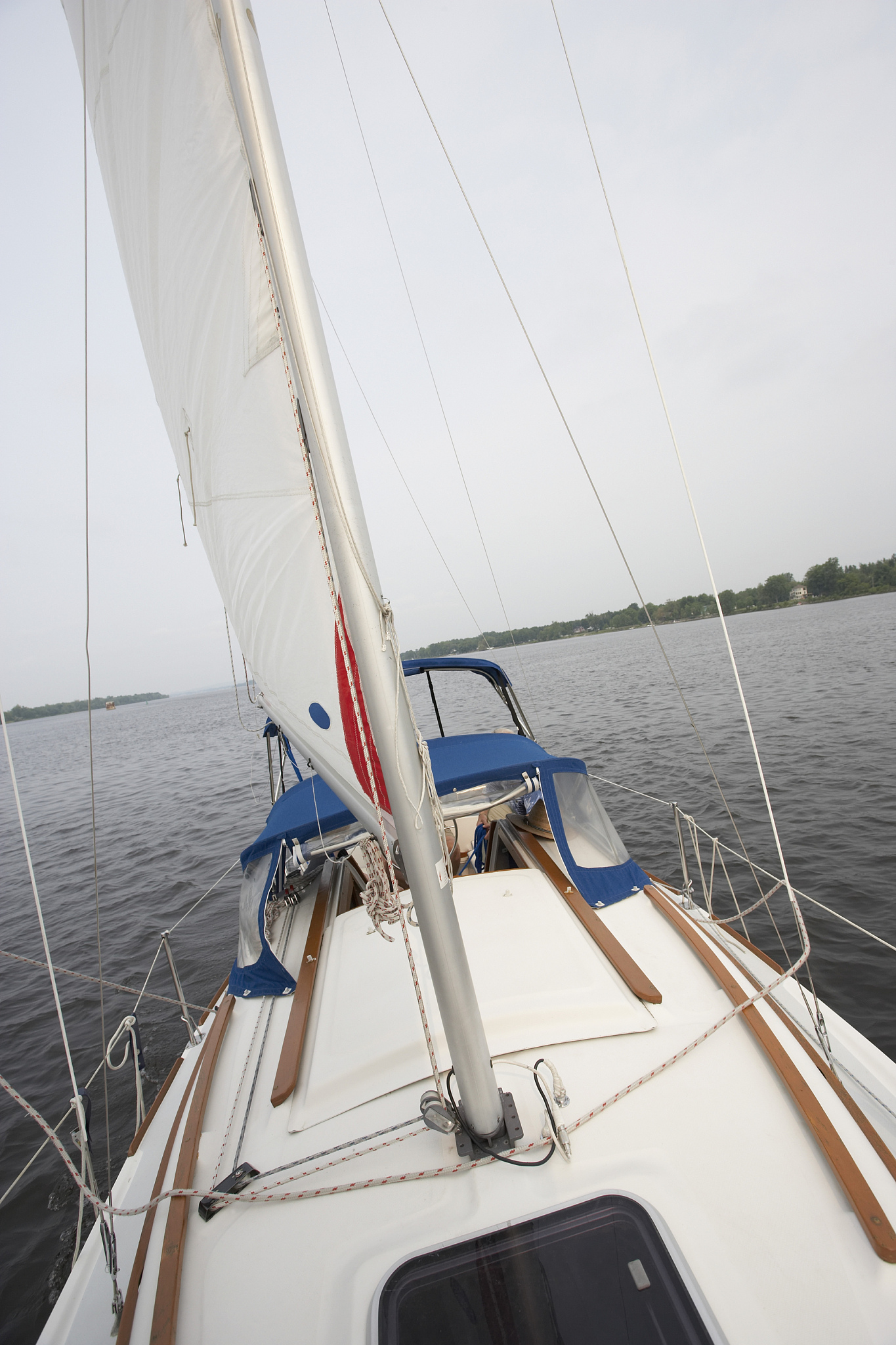 Cabo Rico	42详细数据