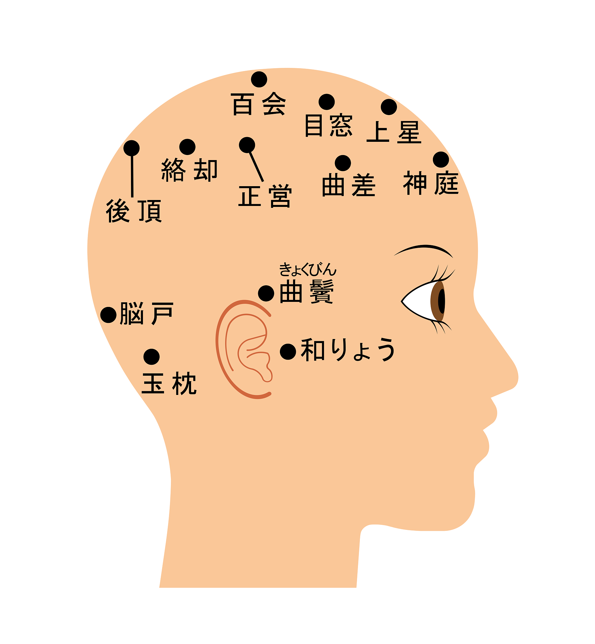 chatgptHello! How may I assist you today面部危险三角区