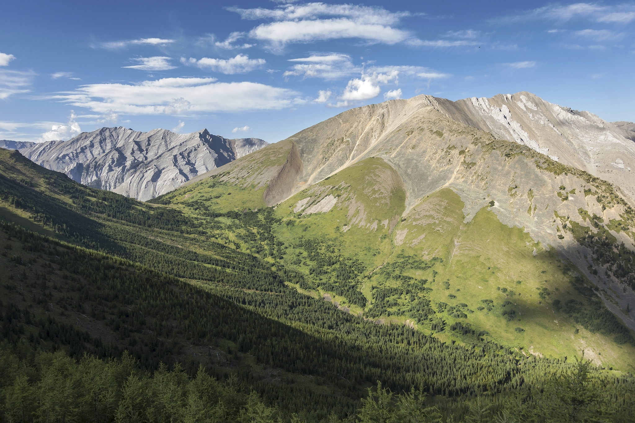 scenic view from mist ridge in kananaskis country, ab canada