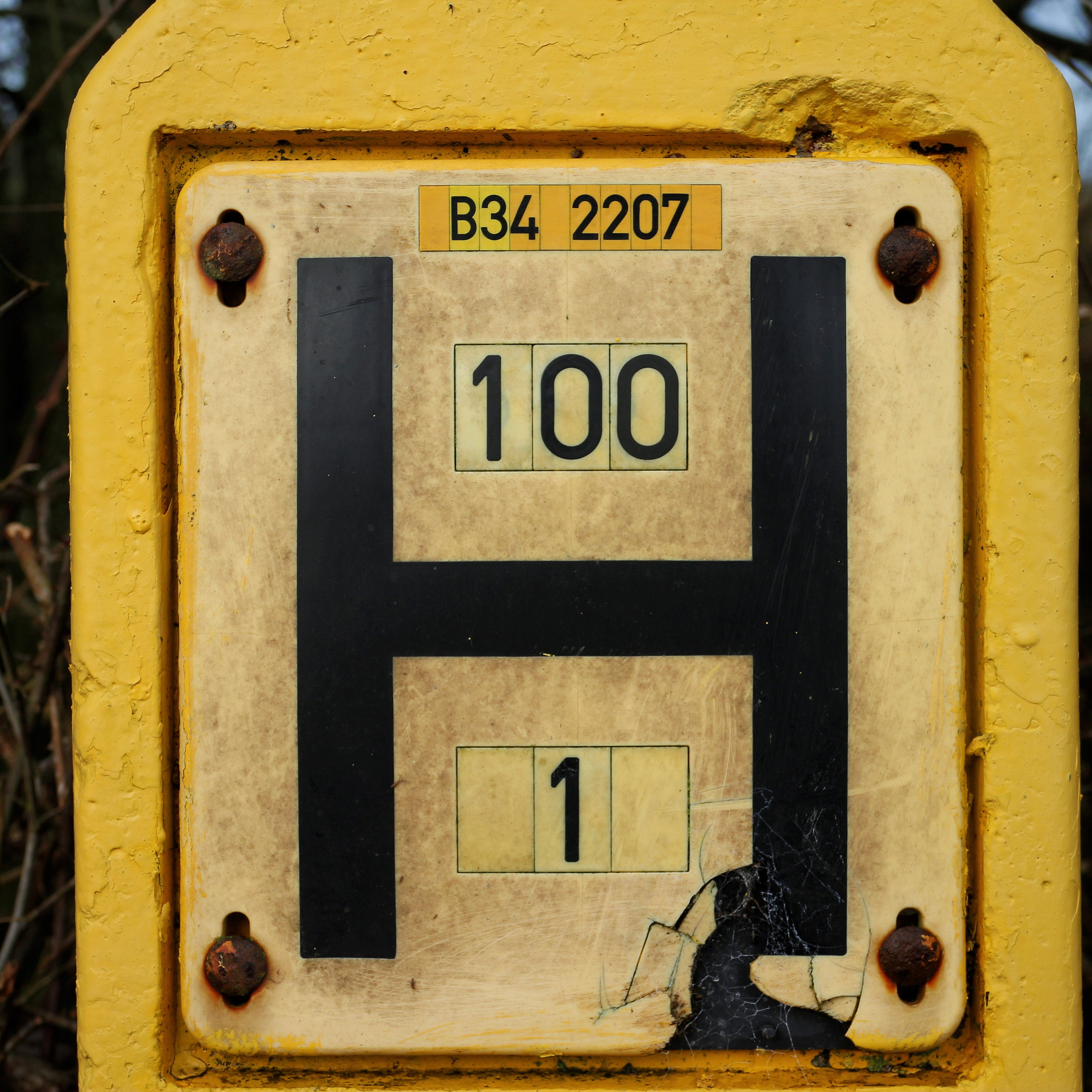 HGZU能组成什么单词？