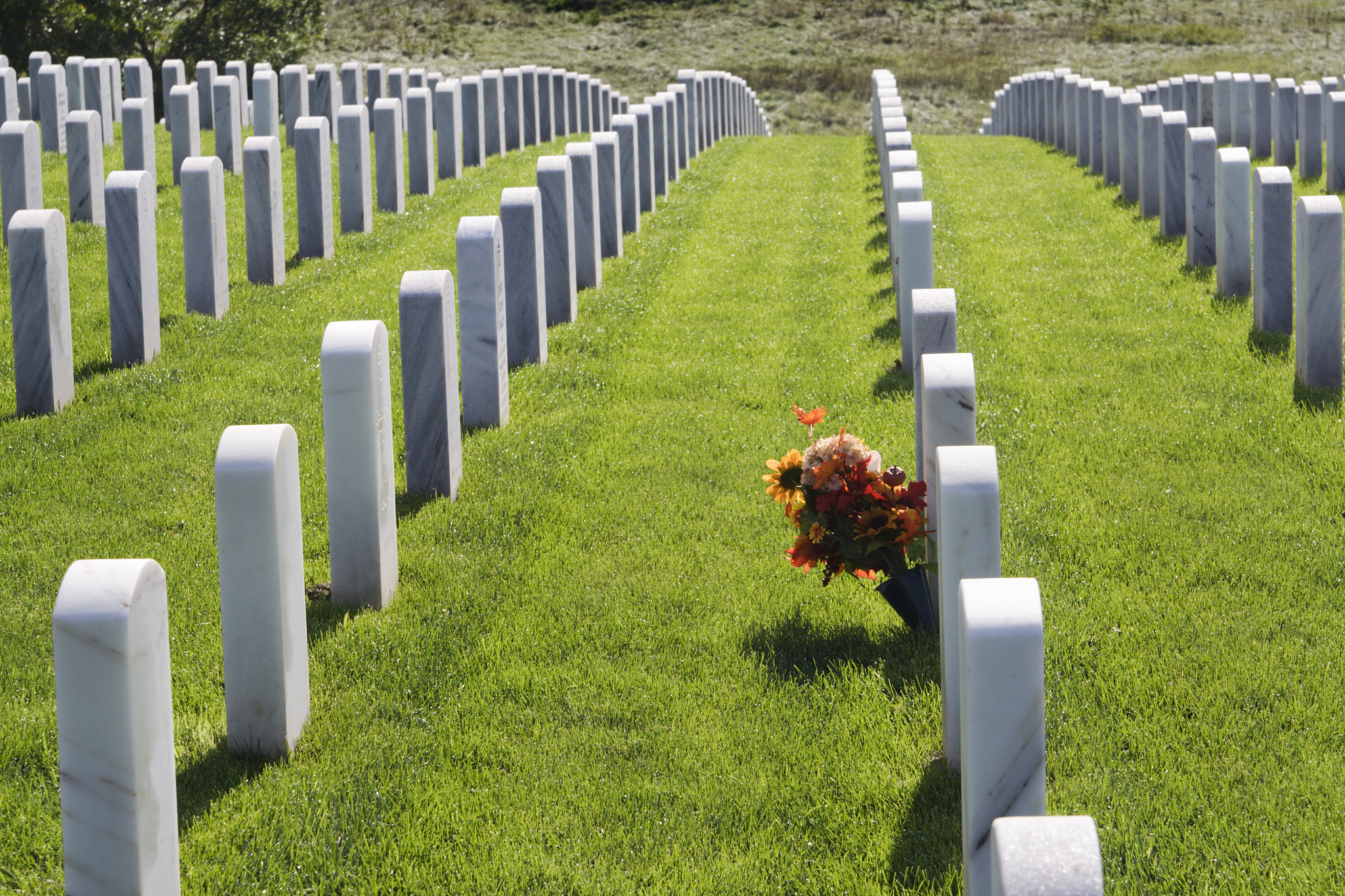 绿色殡葬：推动殡葬行业可持续发展 后期发展规划