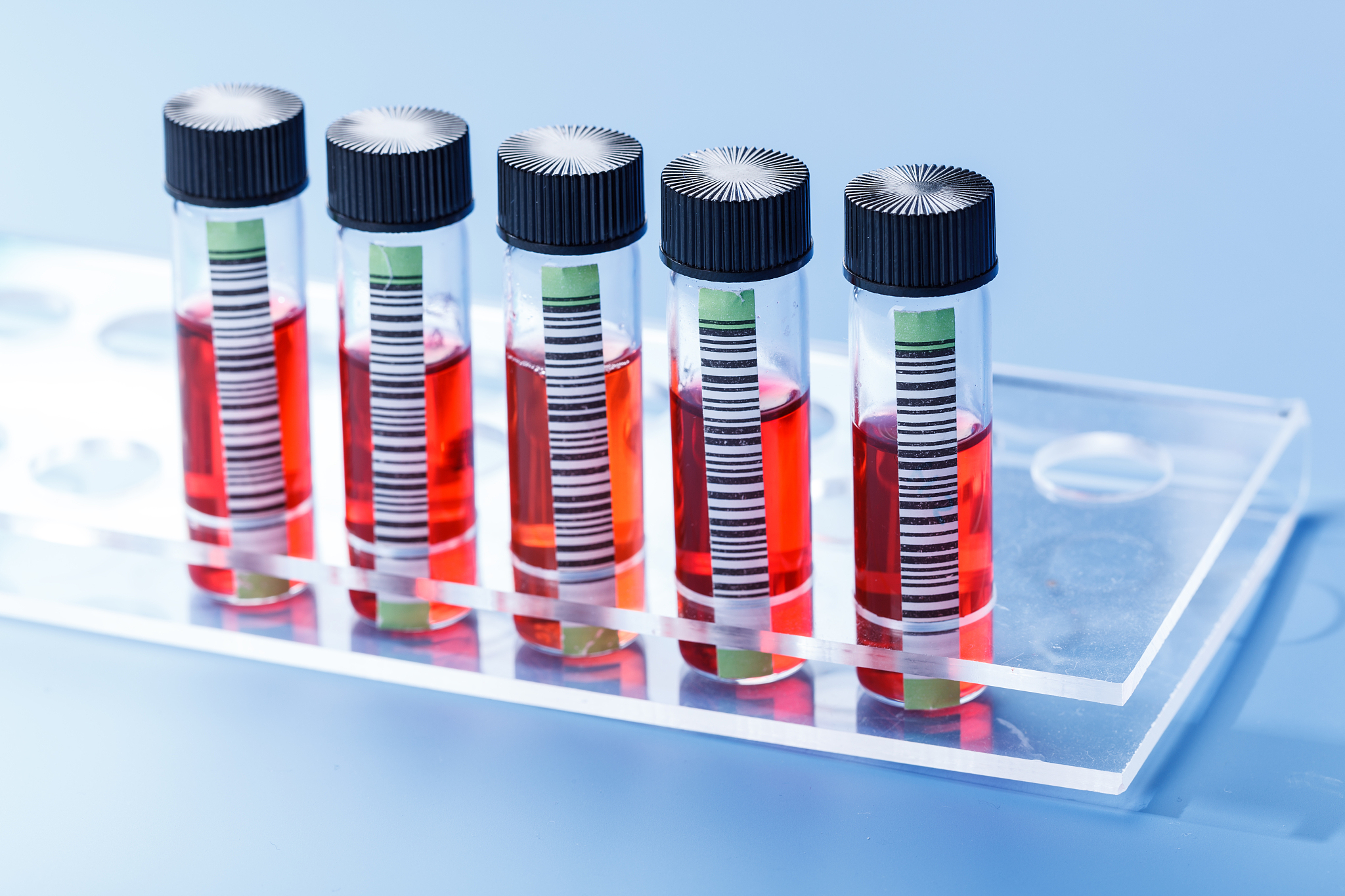 初中生物学科习题研制理论与实践研究