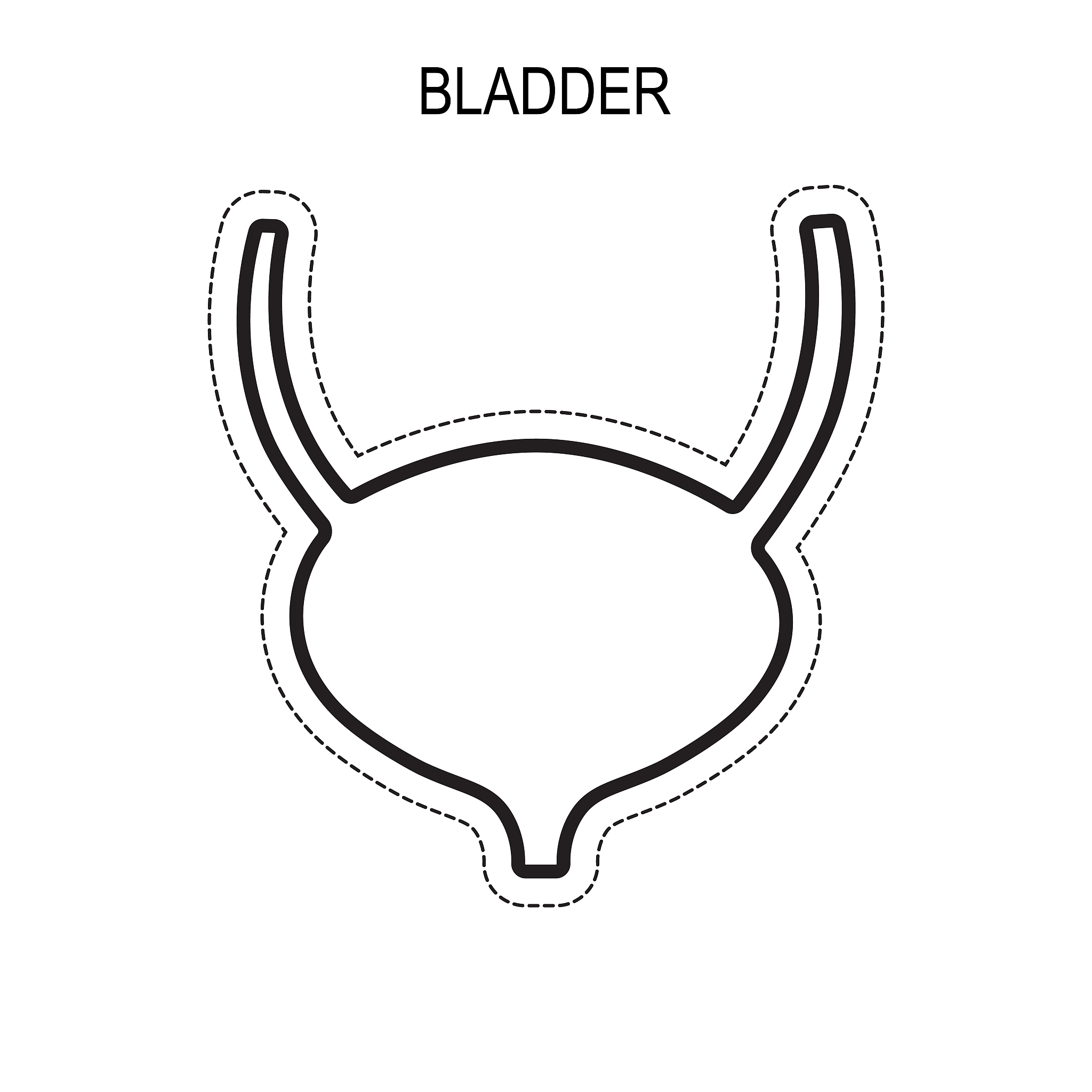 膀胱容量：人能憋多少尿？