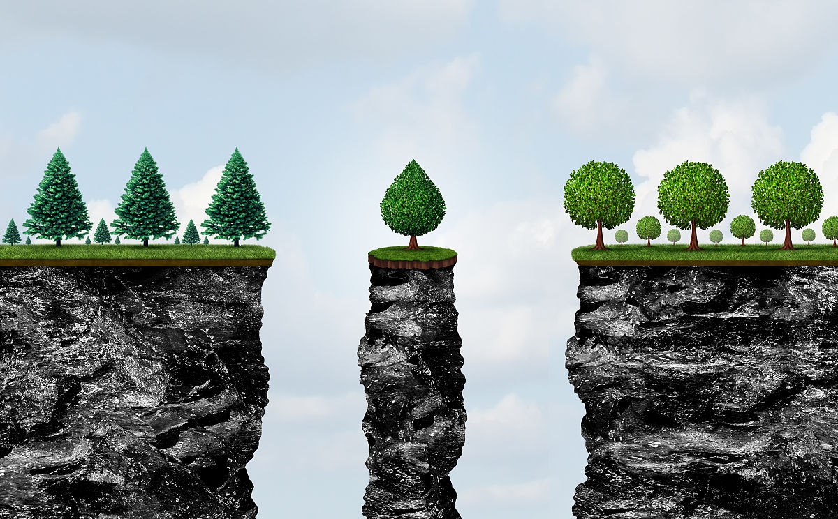 猕猴桃静电授粉器：提高授粉效率，降低成本，提升品质