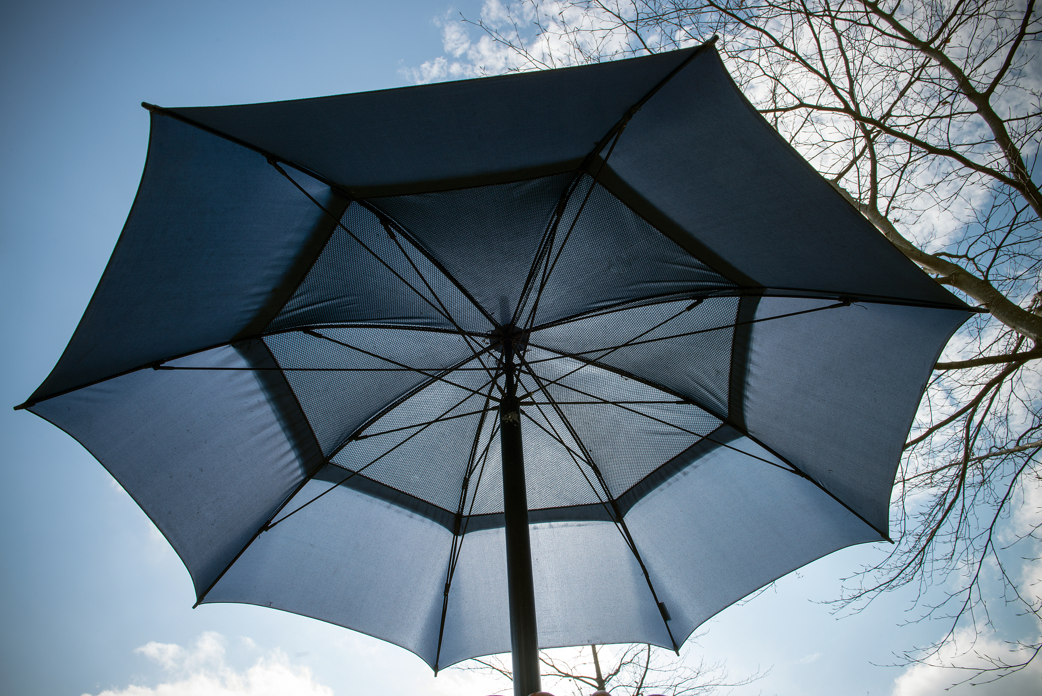 umbrella and sunny sky