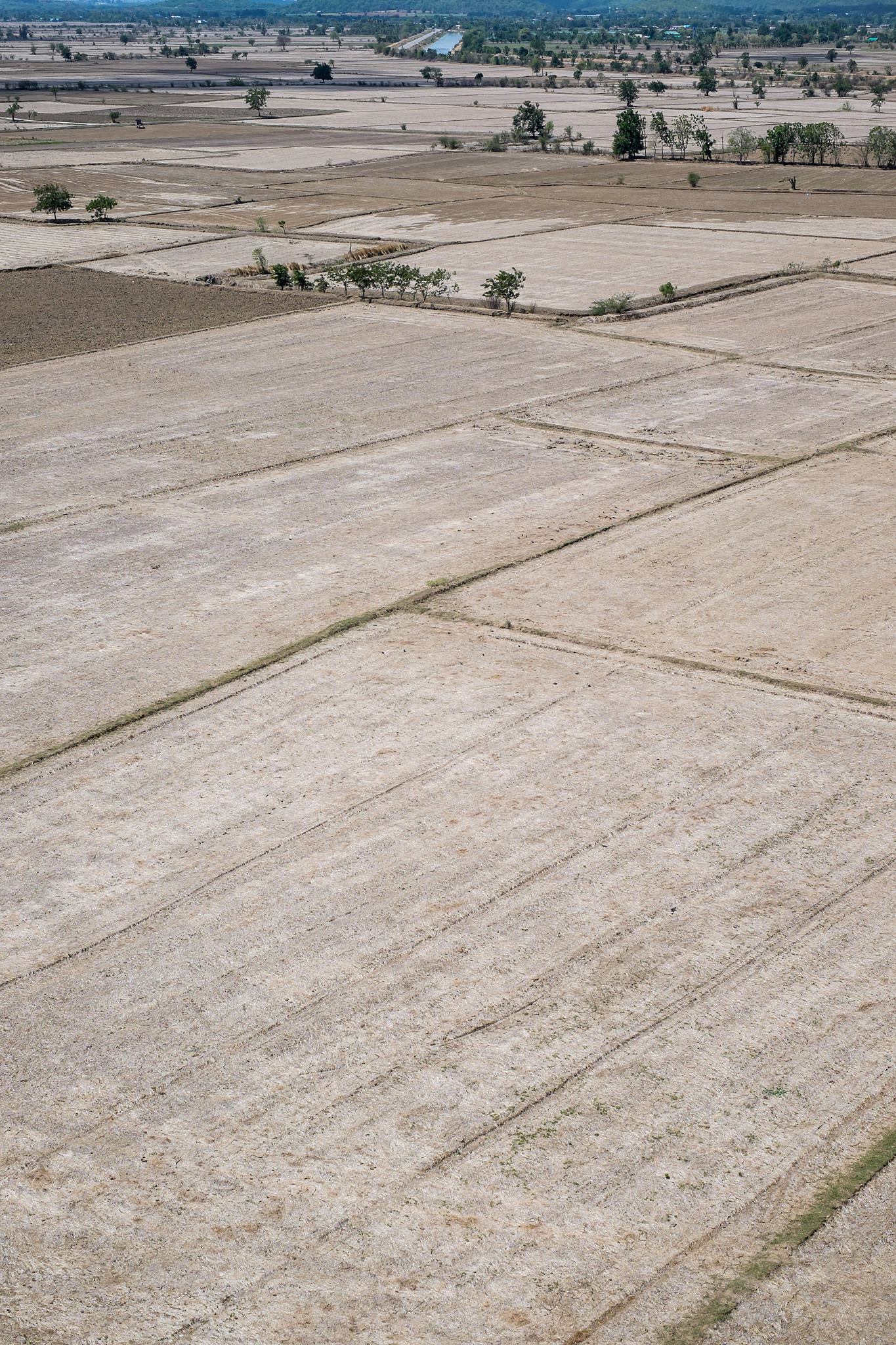 rice terraced fields in kanchanaburi, thailand