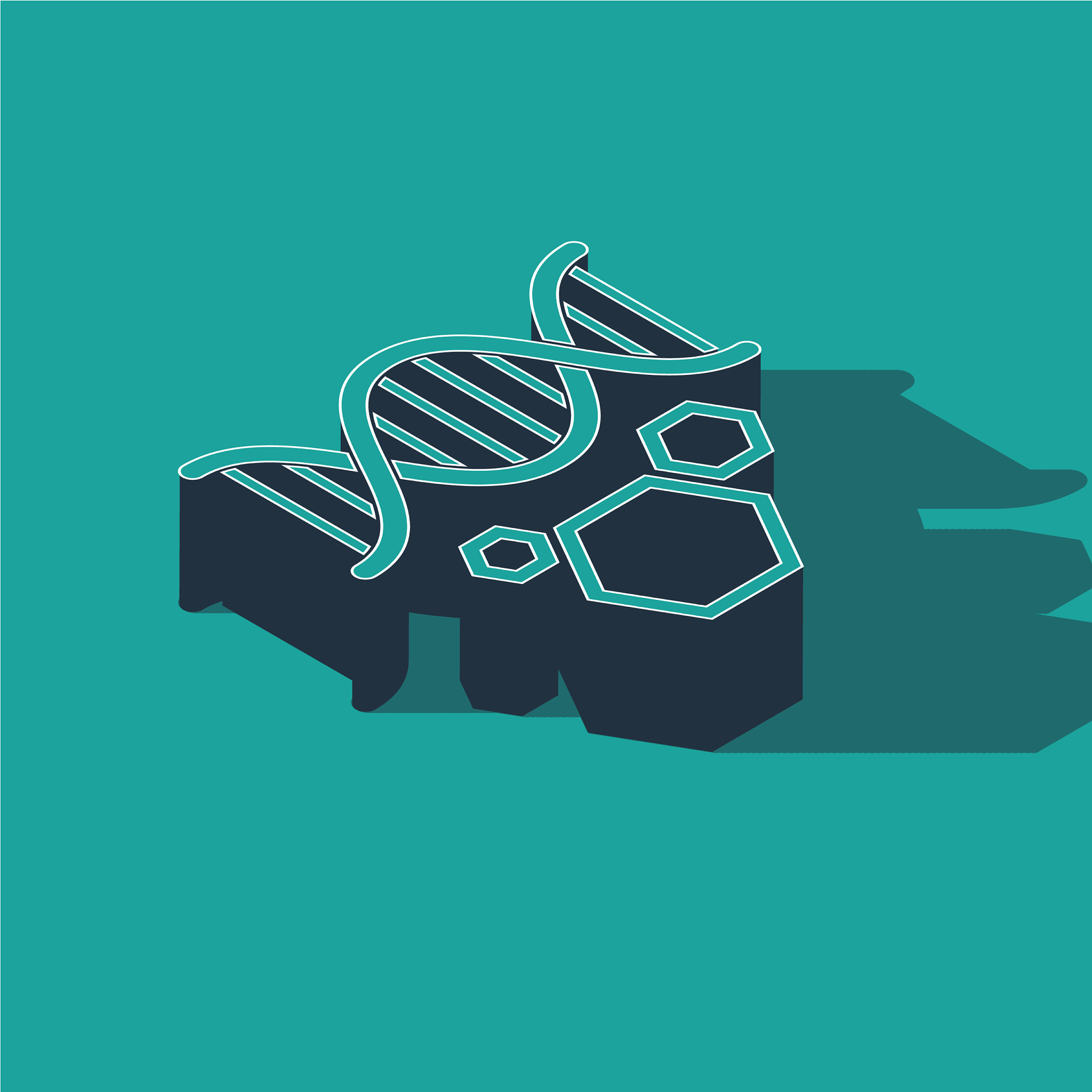 基因克隆预习：常见问题及解决方案