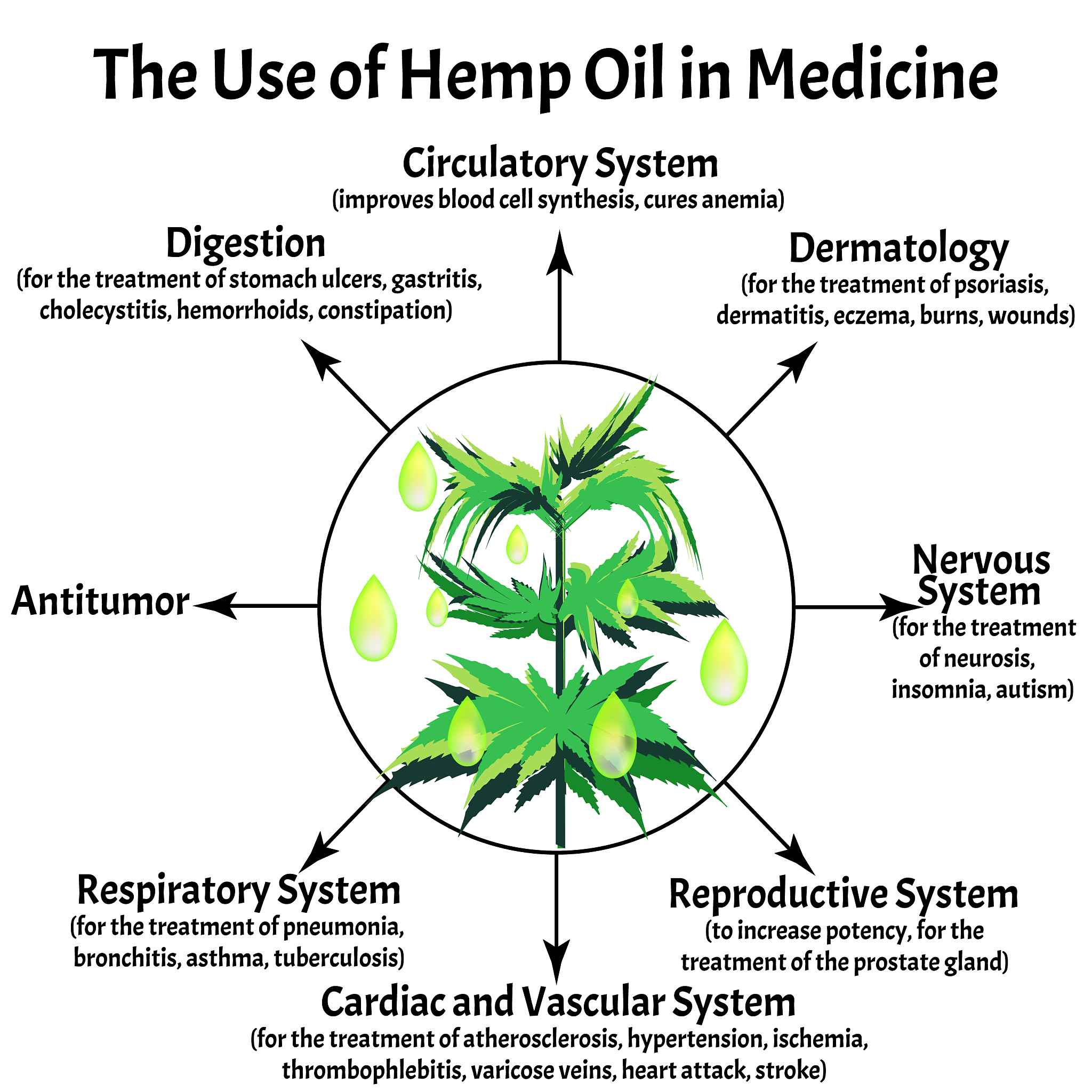 用nature期刊的语言风格将以下内容写成英语：在2m和5m植物中外源喷施不同浓度ebl均未能显著性提高可溶性糖含量。