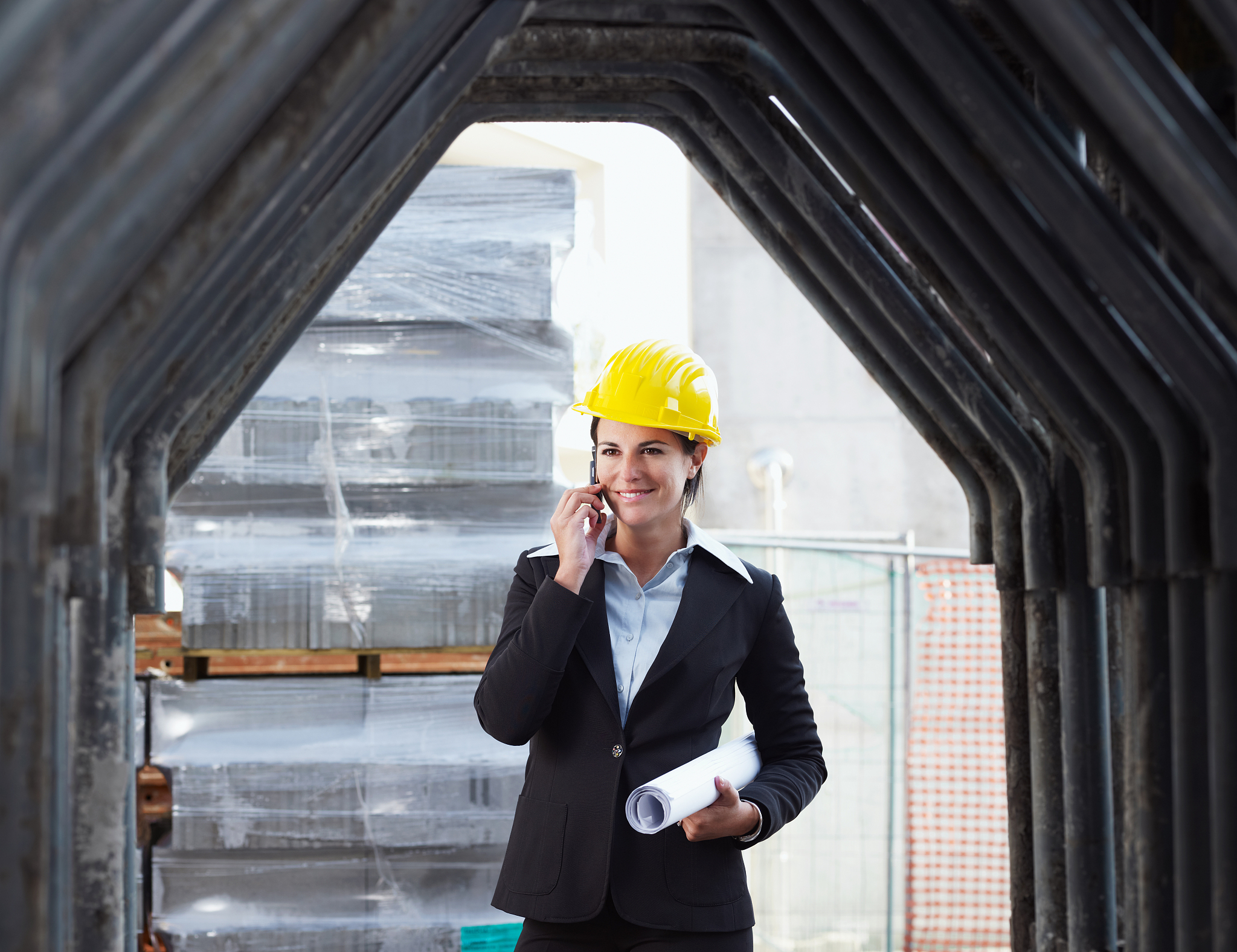 双学历评审工程师：工程项目管理中的多面手