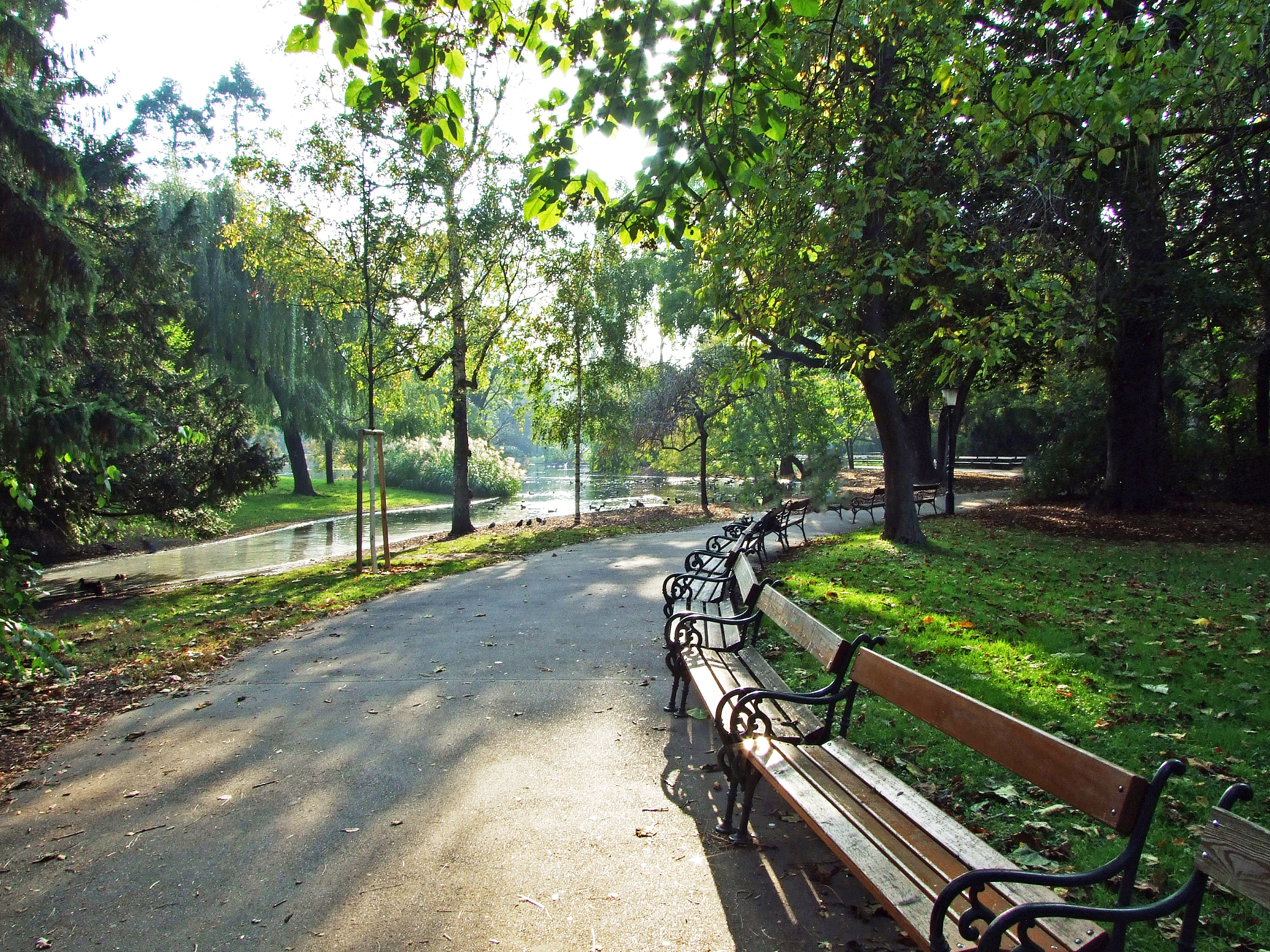 写一首描述中国大好河山的歌词，突出黄河和长江
