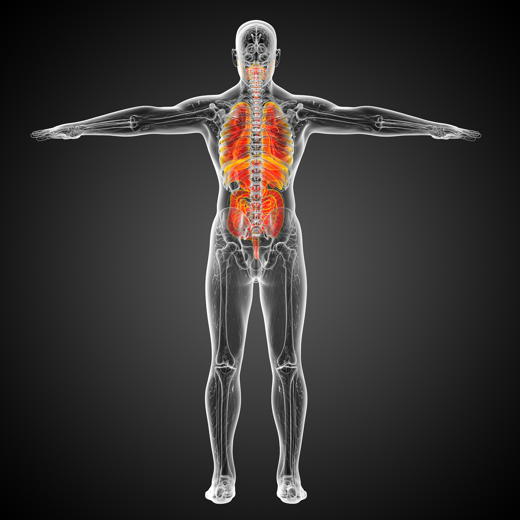 为什么有时候运动腹部右上方疼痛有时候没事是肌肉拉伤吗