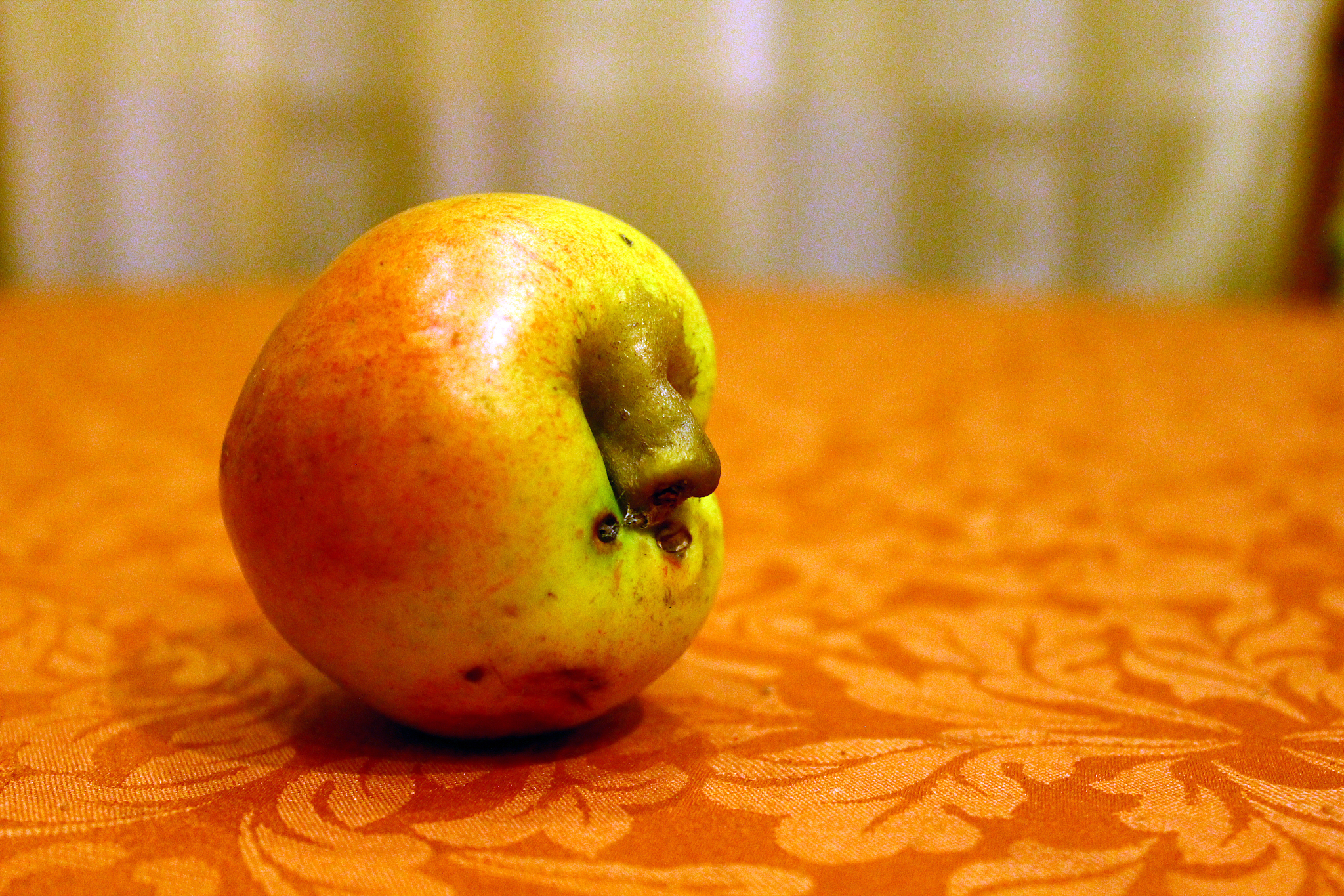 苹果霉心病防治指南：症状、治疗、预防全解析