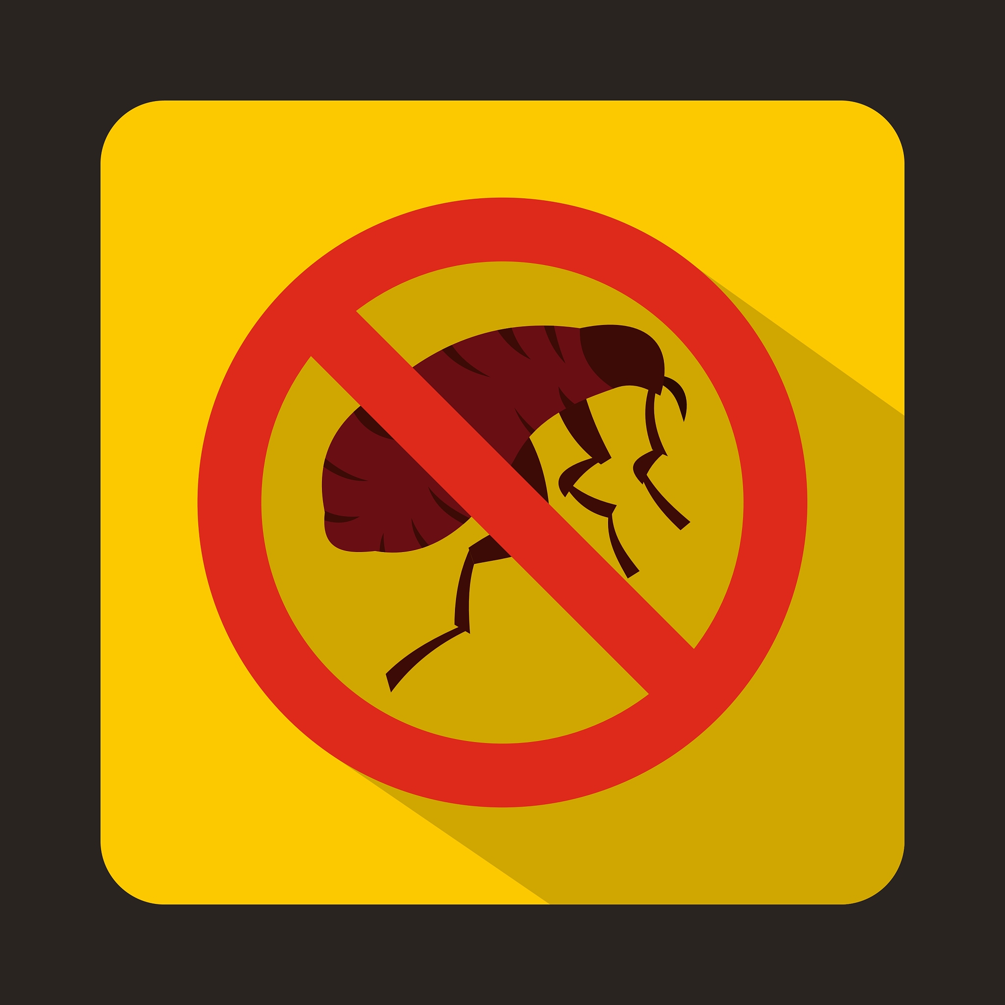 etching insect icon flat style