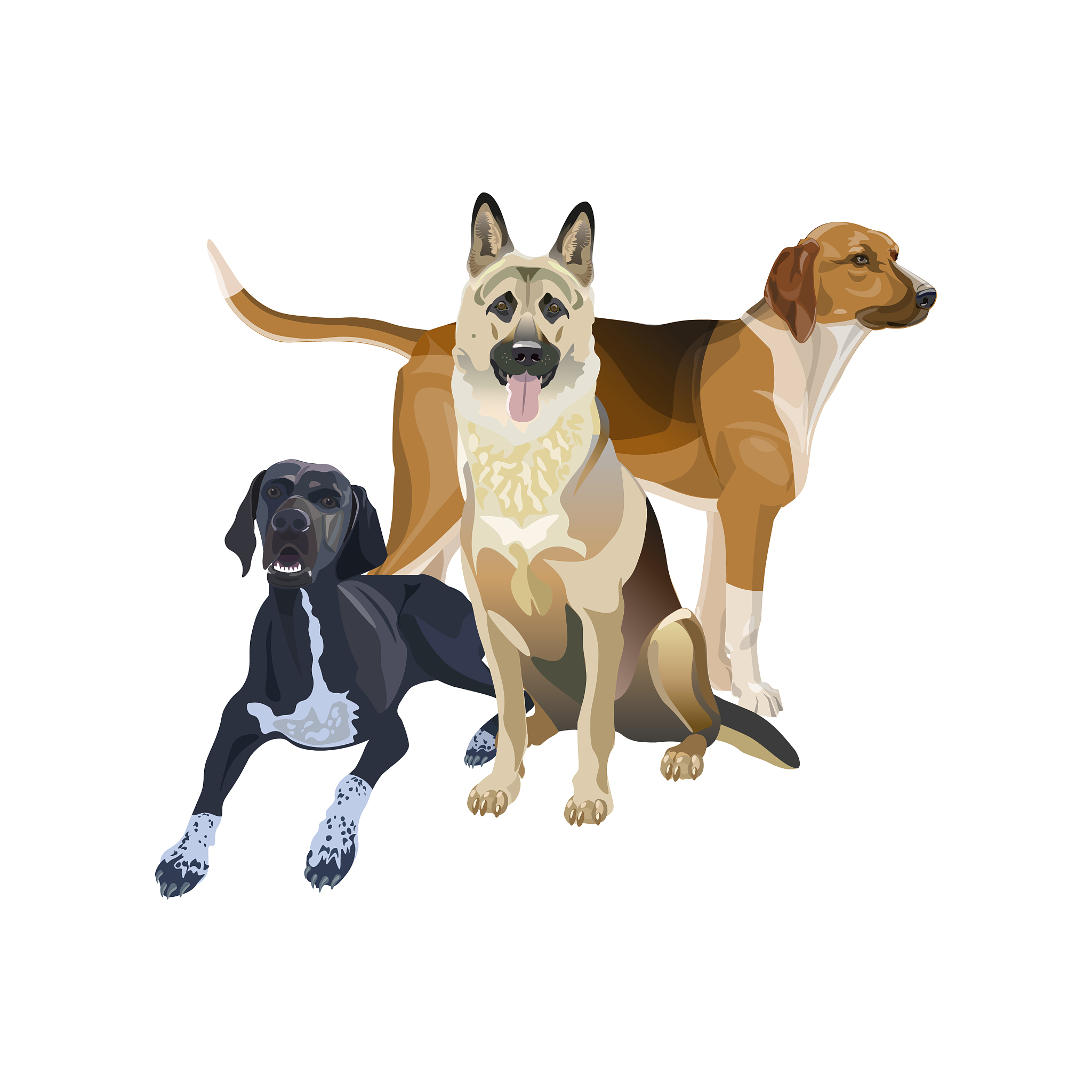 Can Dogs Choose Life and Death? A Debate on Euthanasia and Animal Rights