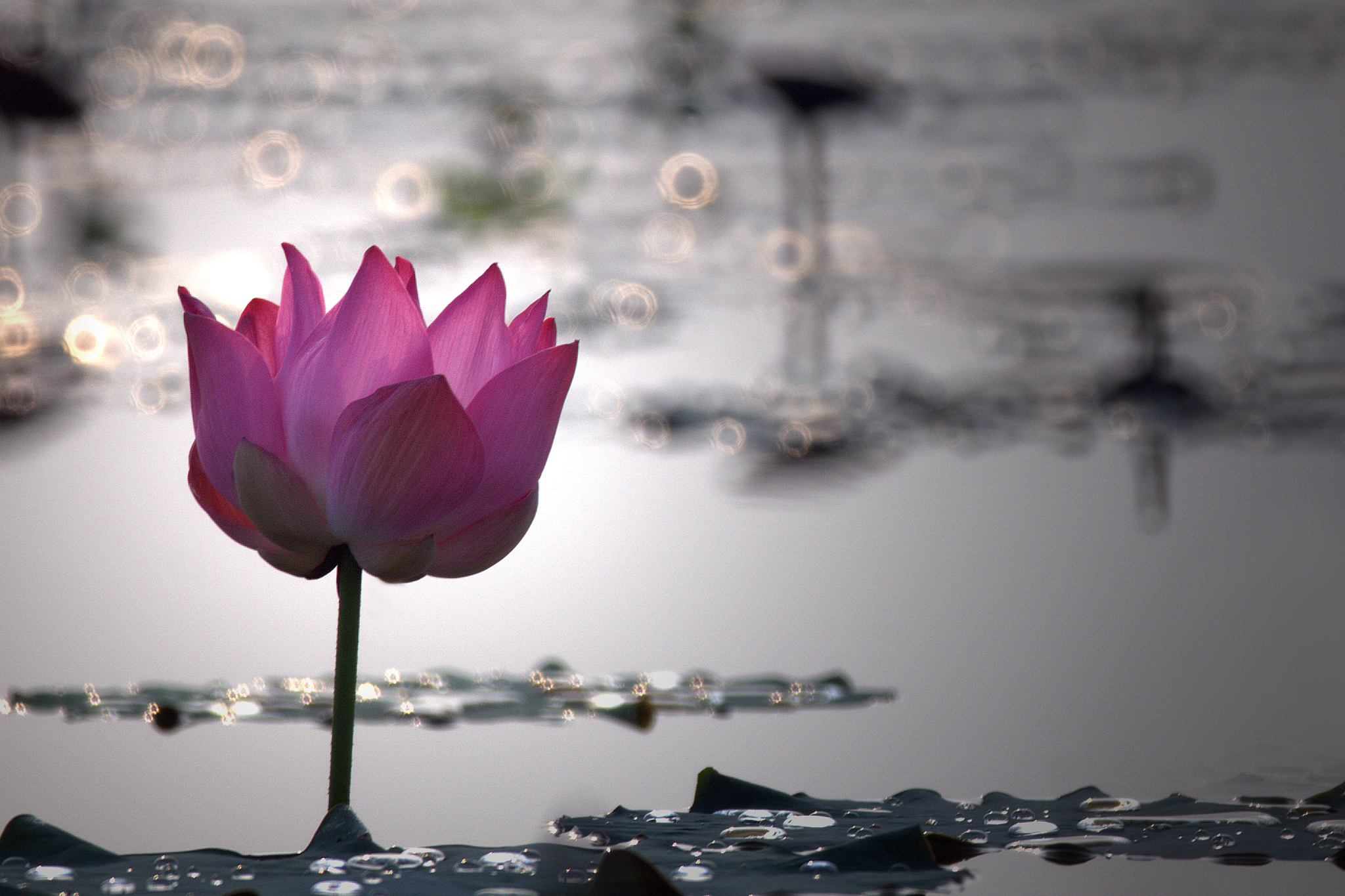 不离自性，即是福田：探索内心宝藏