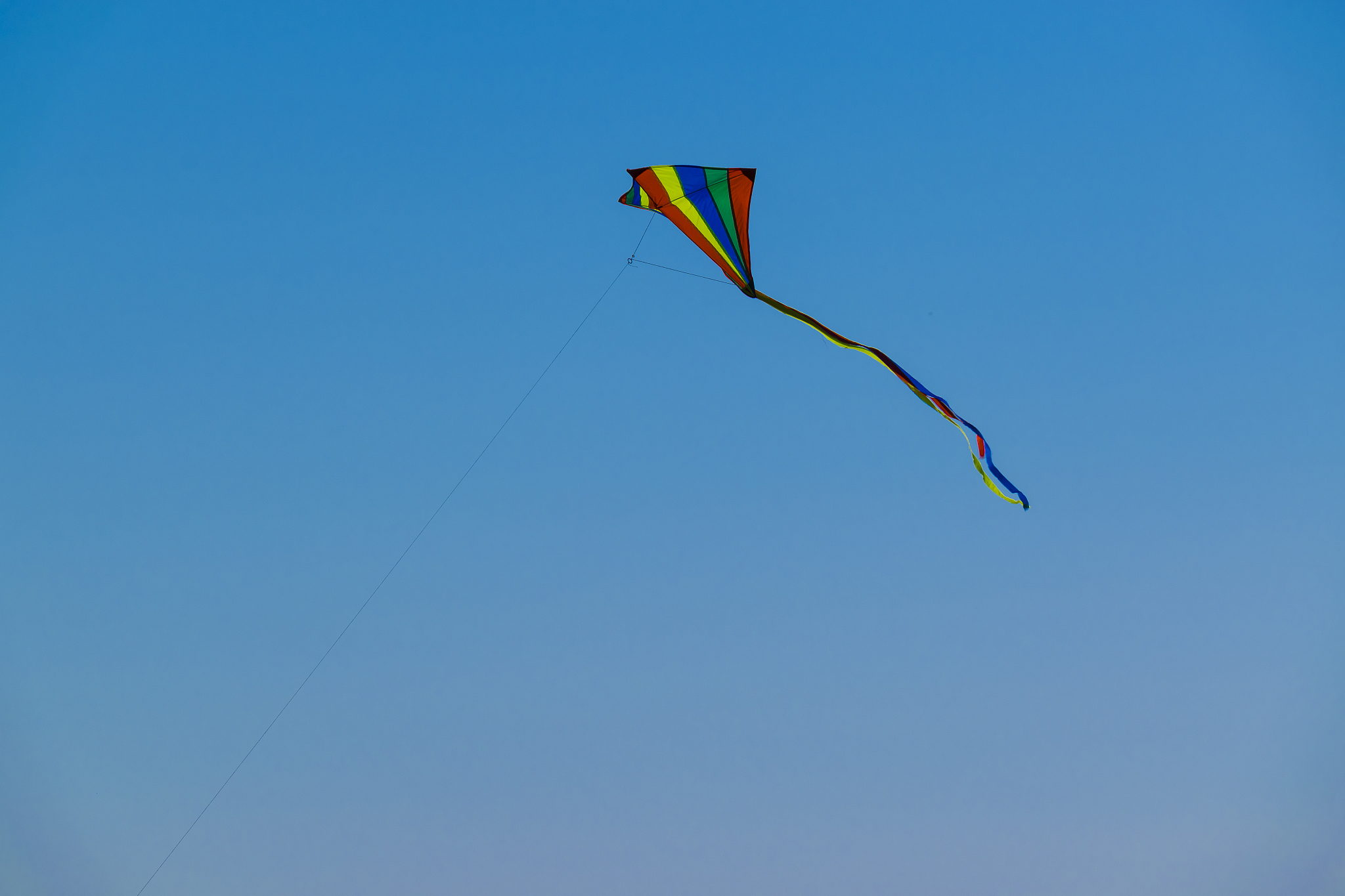 kite on blue sky