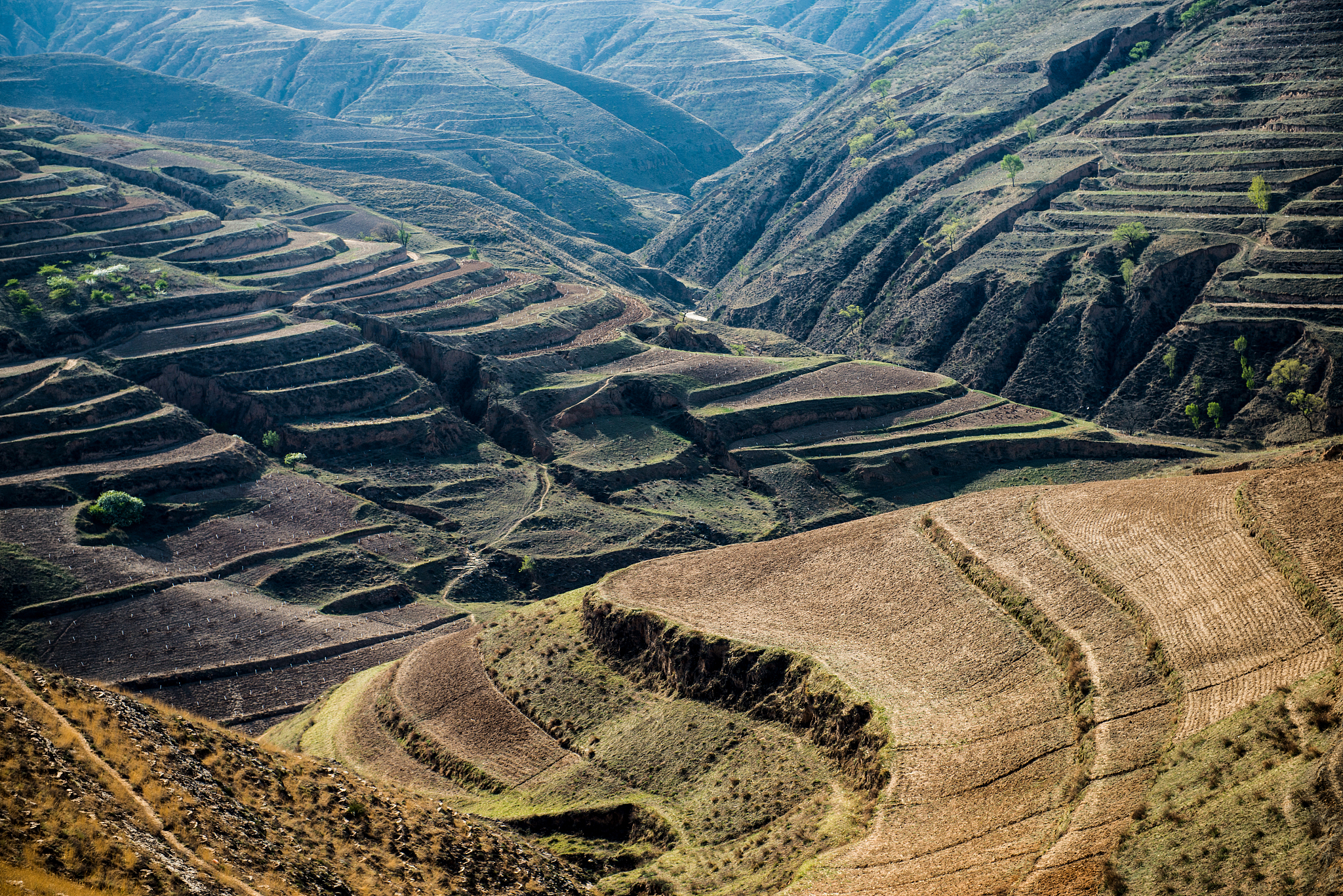 中国地形教学：了解中国自然环境和资源的必修课