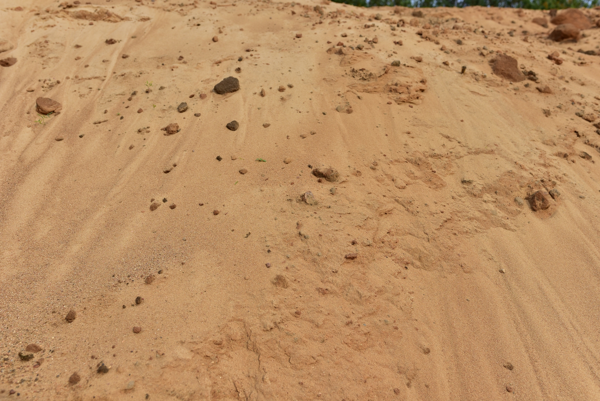 the texture of the sandy layer of the earth. sand background