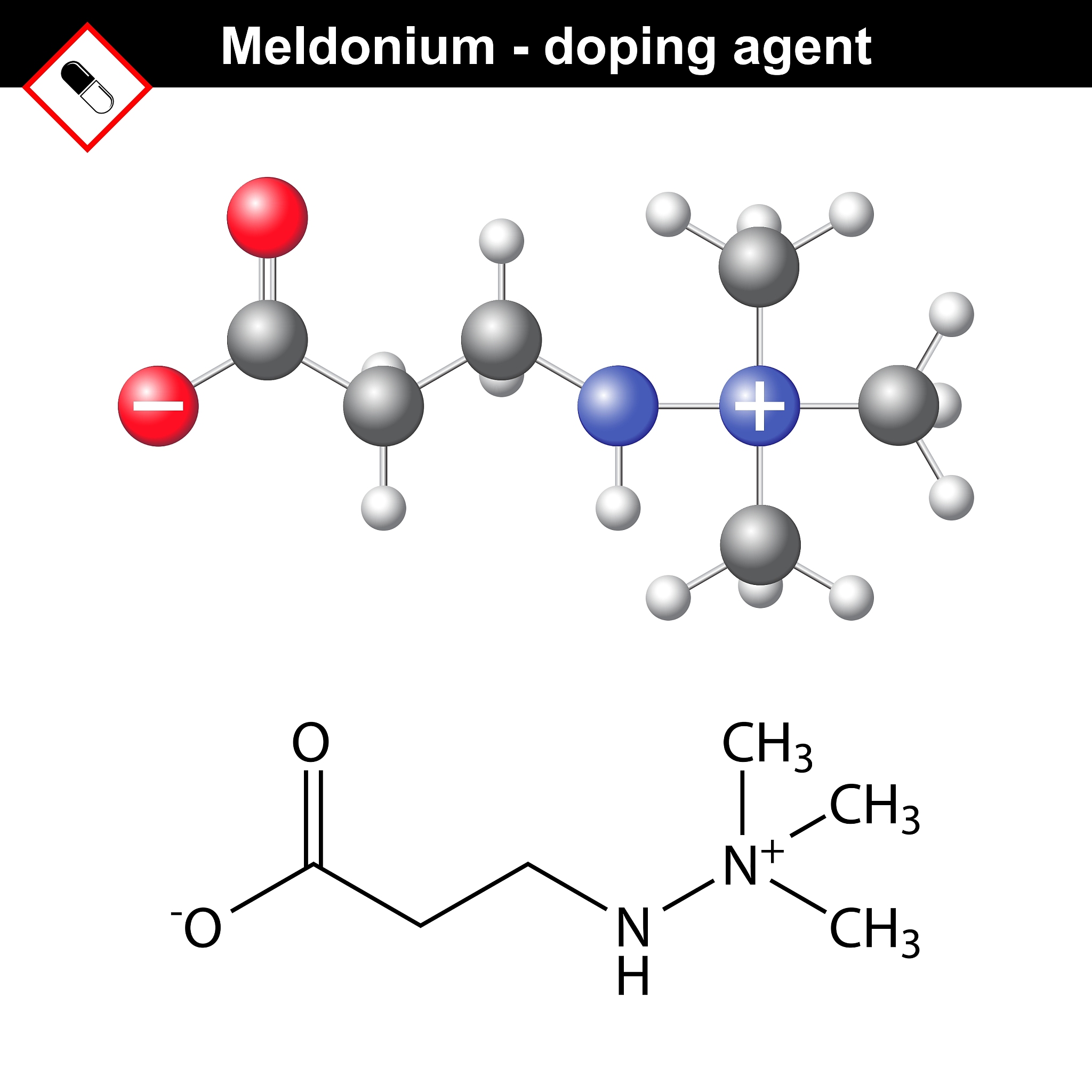 胆固醇如何影响细胞膜的流动性？