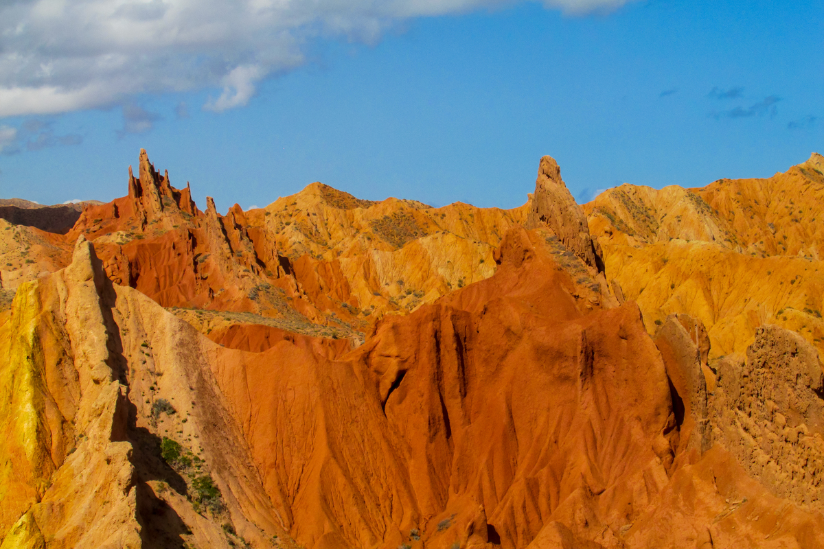 西北地区旅游攻略：自然奇观、历史文化、民俗风情