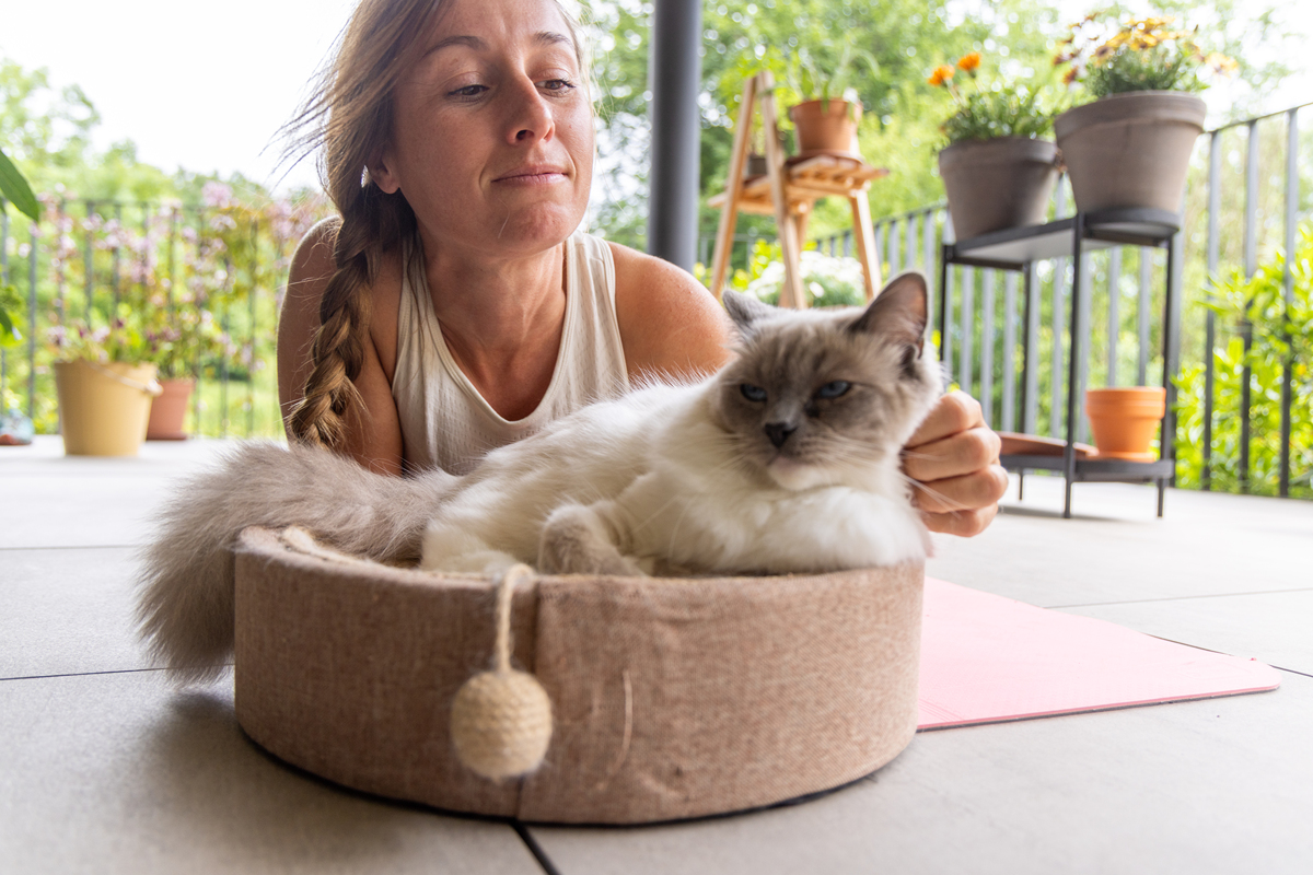 如何照顾宠物并提供舒适的生活环境 - 全面指南