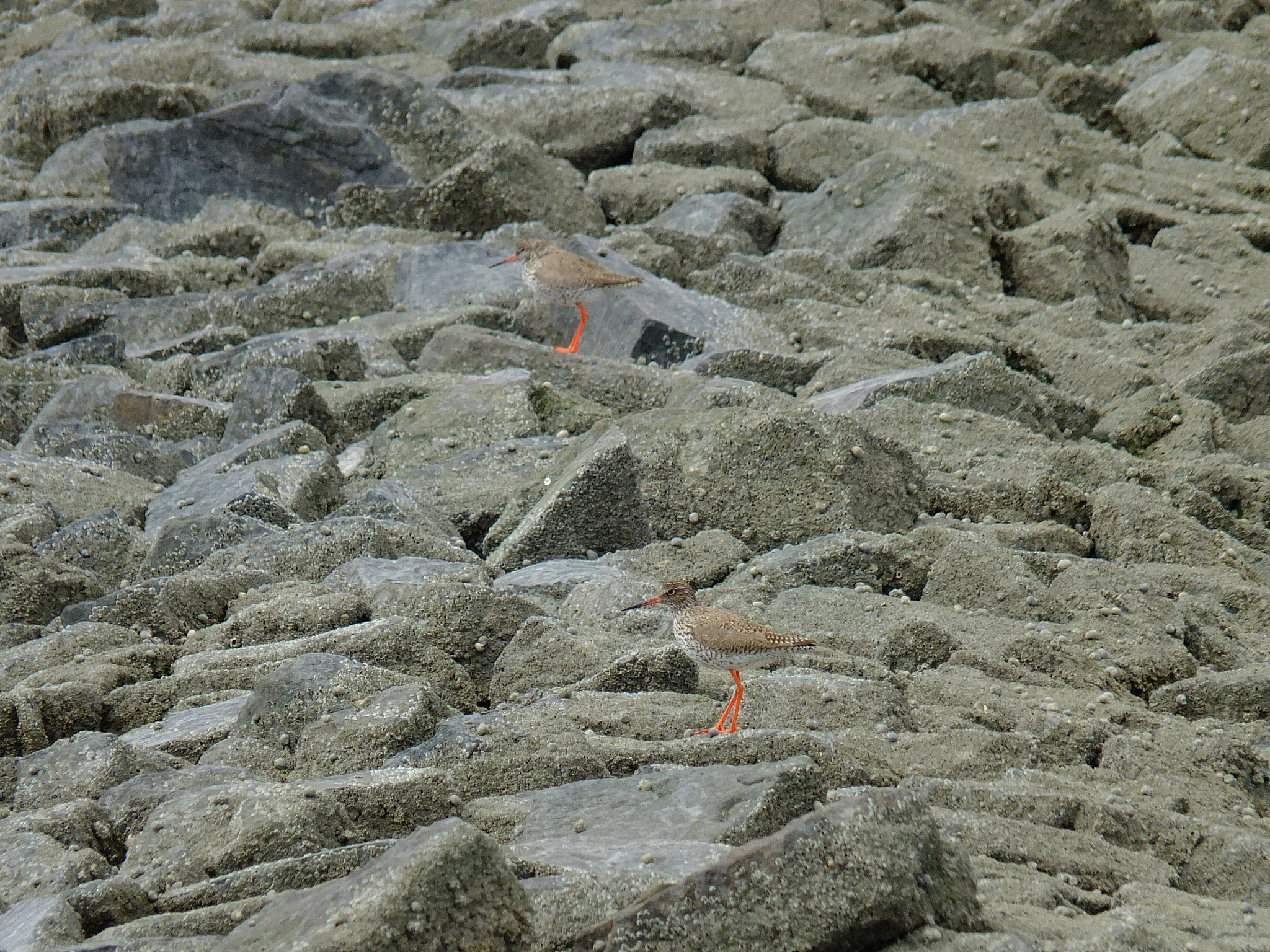 露天存放石膏的危害：土壤、水源、空气和健康
