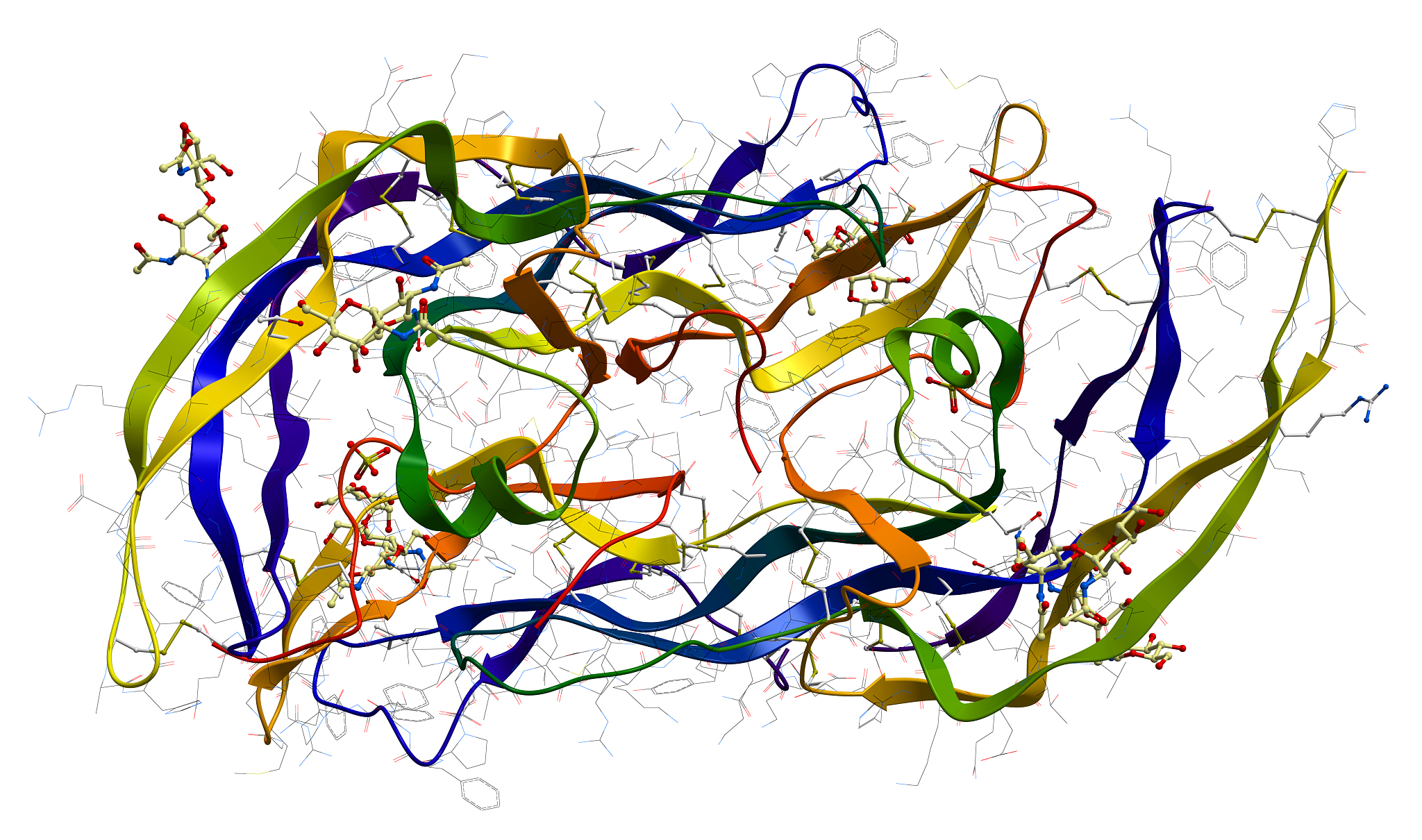 根据卵泡的发育过程描述不同阶段卵泡发育状态