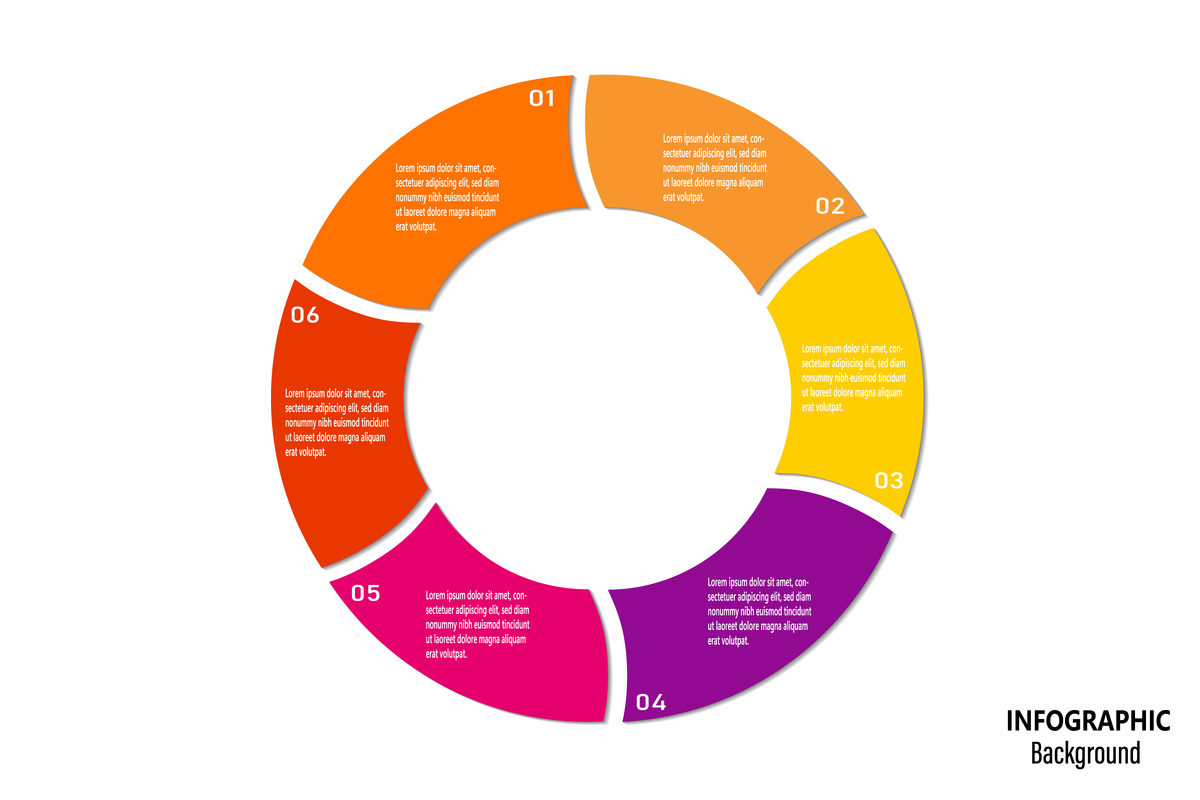 Business Life Cycle: Identifying a Mature Company - Alpha Company Example