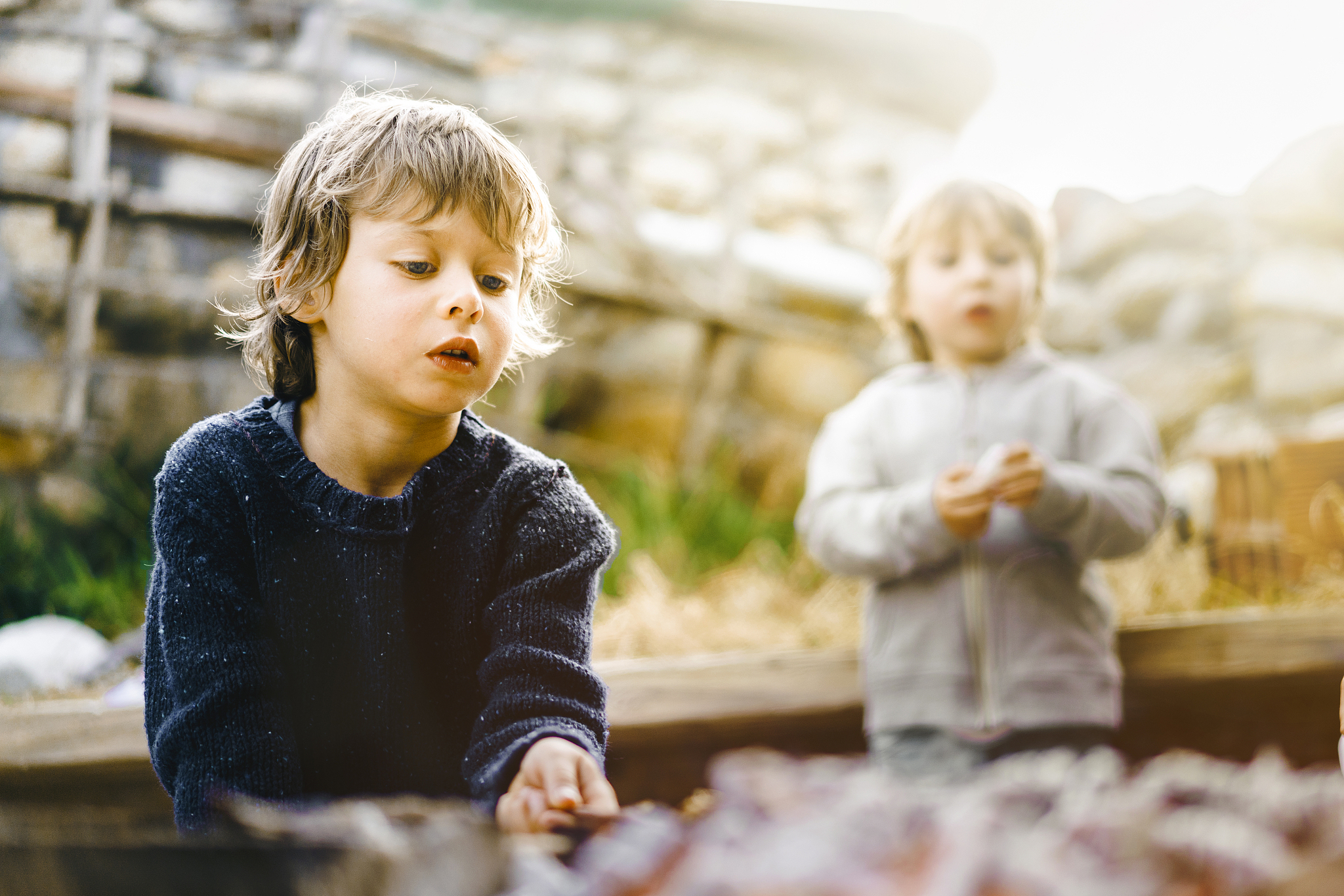 concentrated boy roasting food in campfire