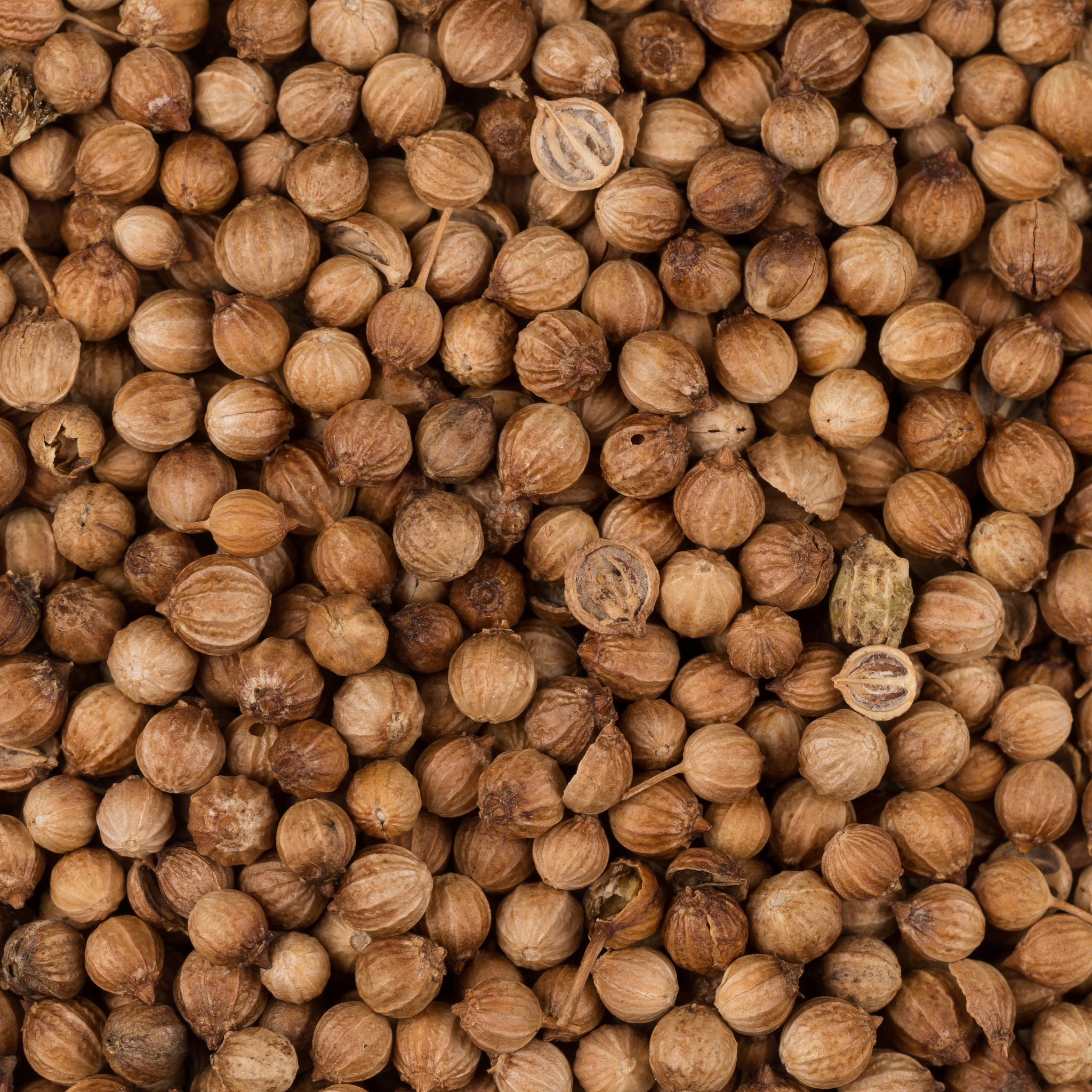 黑龙江粮食职业学院专业设置：农业领域人才培养基地