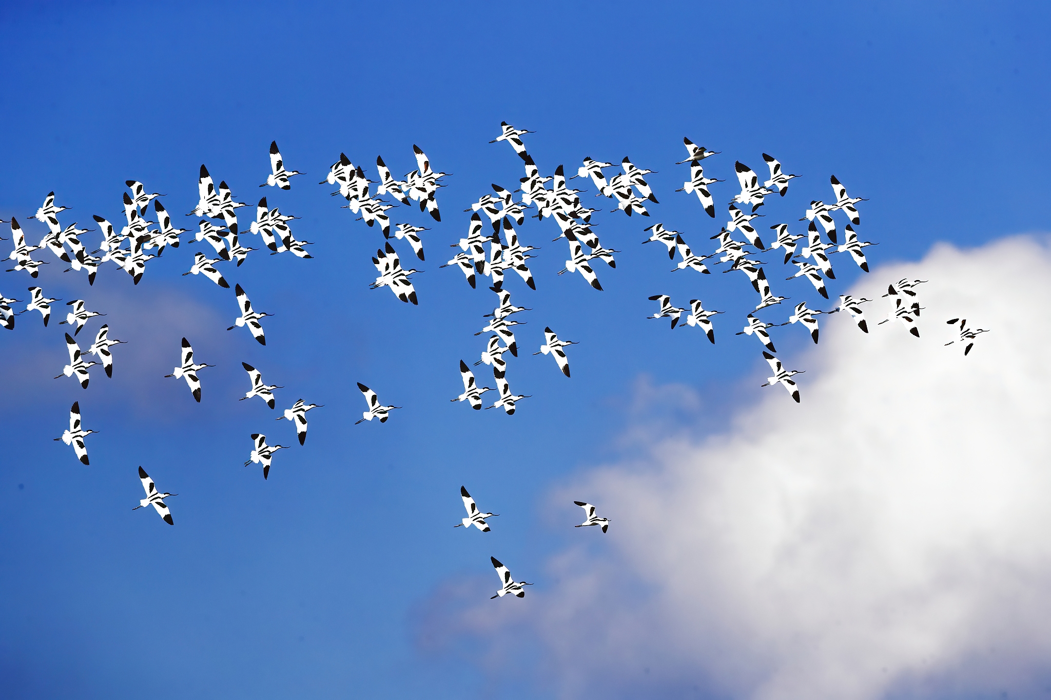 不怒反笑的近义词：平和应对、冷静处理等