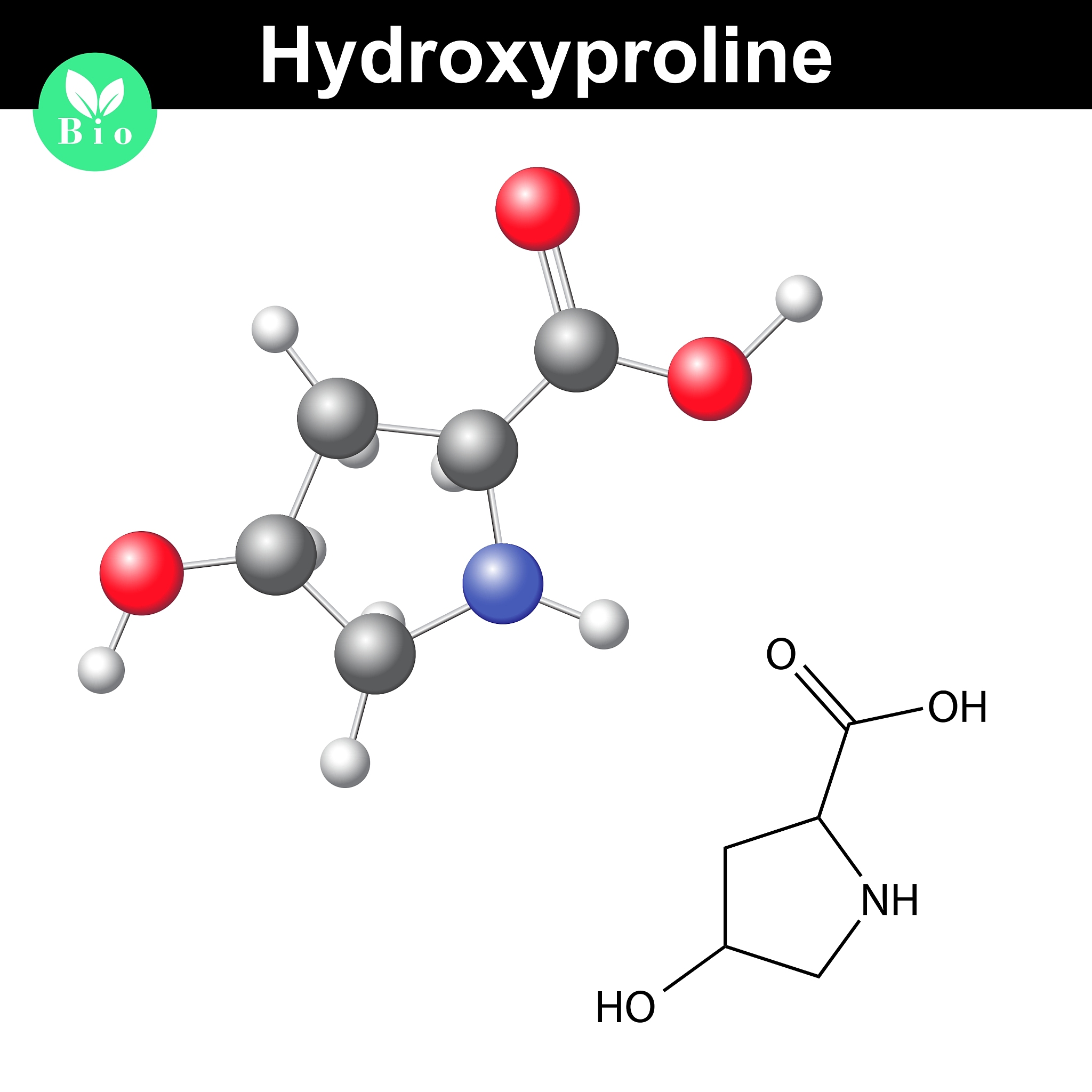 hydroxyproline heterocyclic amino acid
