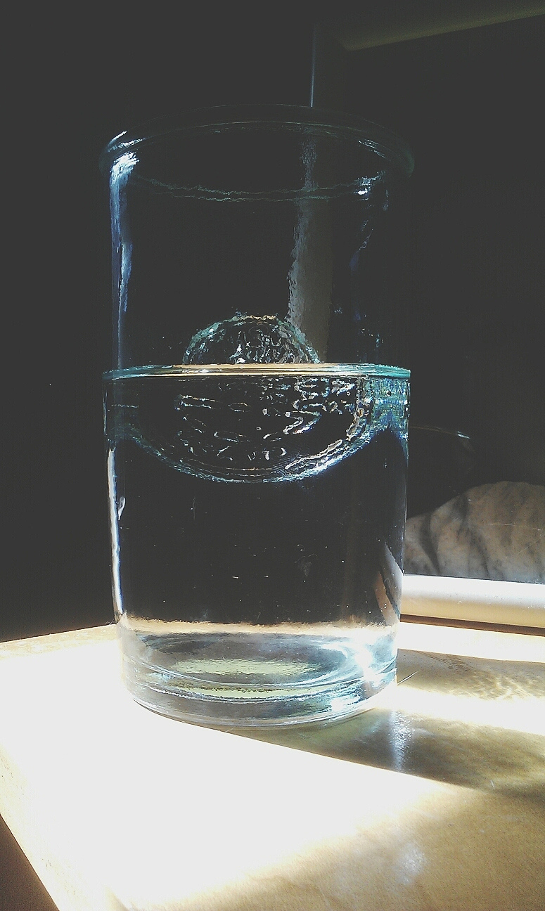 物体没有完全浸没在水中能不能用实验验证阿基米德原理