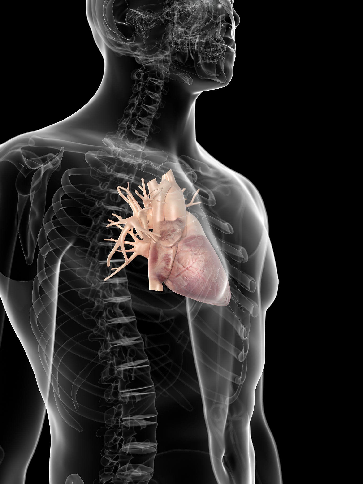 呼吸快慢对应的医学描述有哪些？