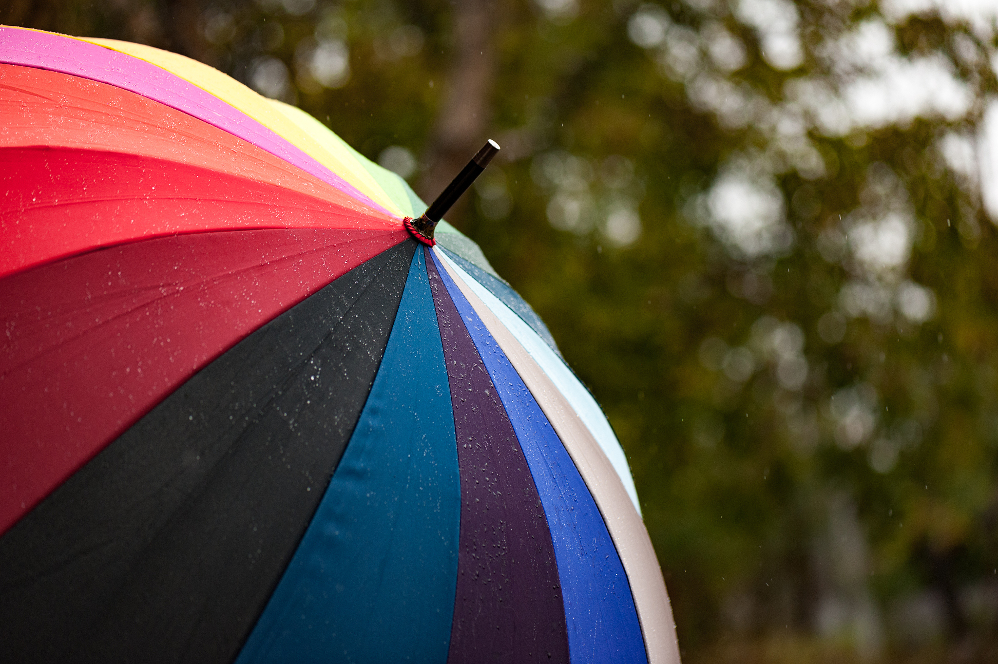 close-up  umbrella in rainbow colors in rainy autumn day, blur f
