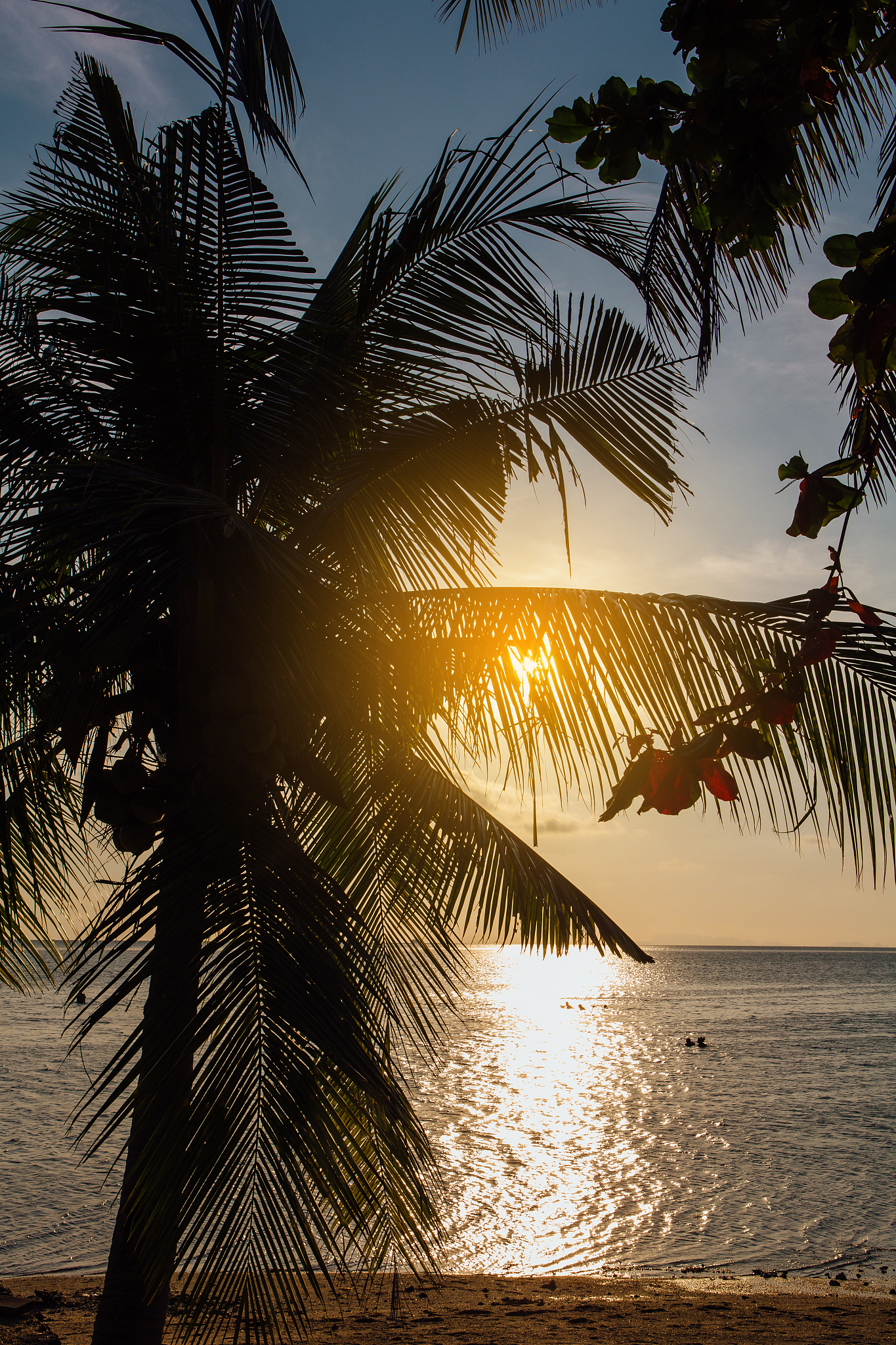 泸州树风幼师职业高级中学校2019年招生简章 | 报名时间、条件、考试、录取