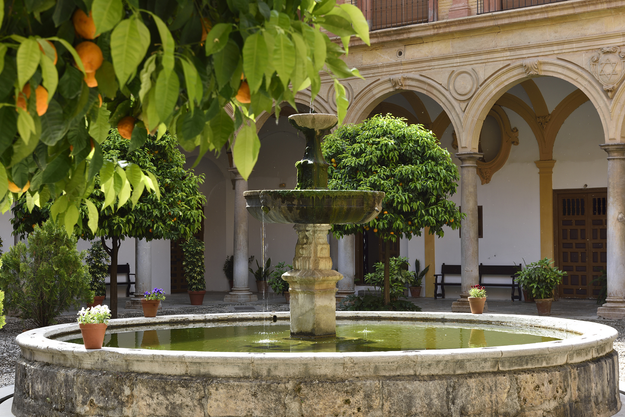 spain, andalusia, granada, world heritage site, abadia del sacro