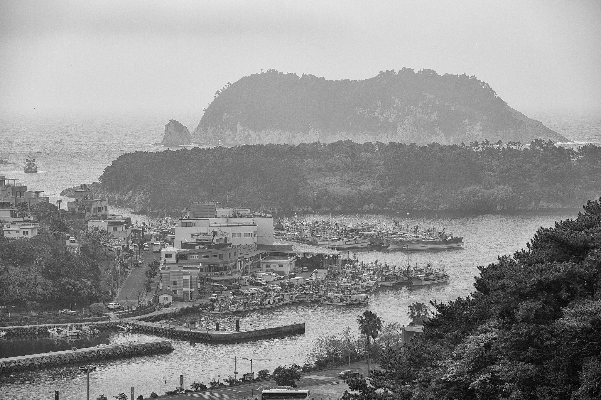 seogwipo harbor