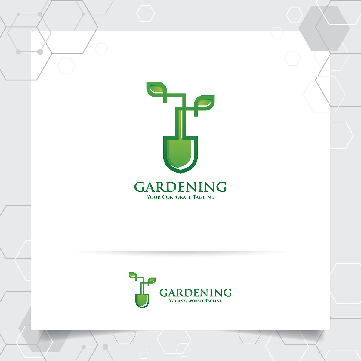 绍兴园艺学校2022年招生专业：园林规划、园艺技术、花卉艺术等