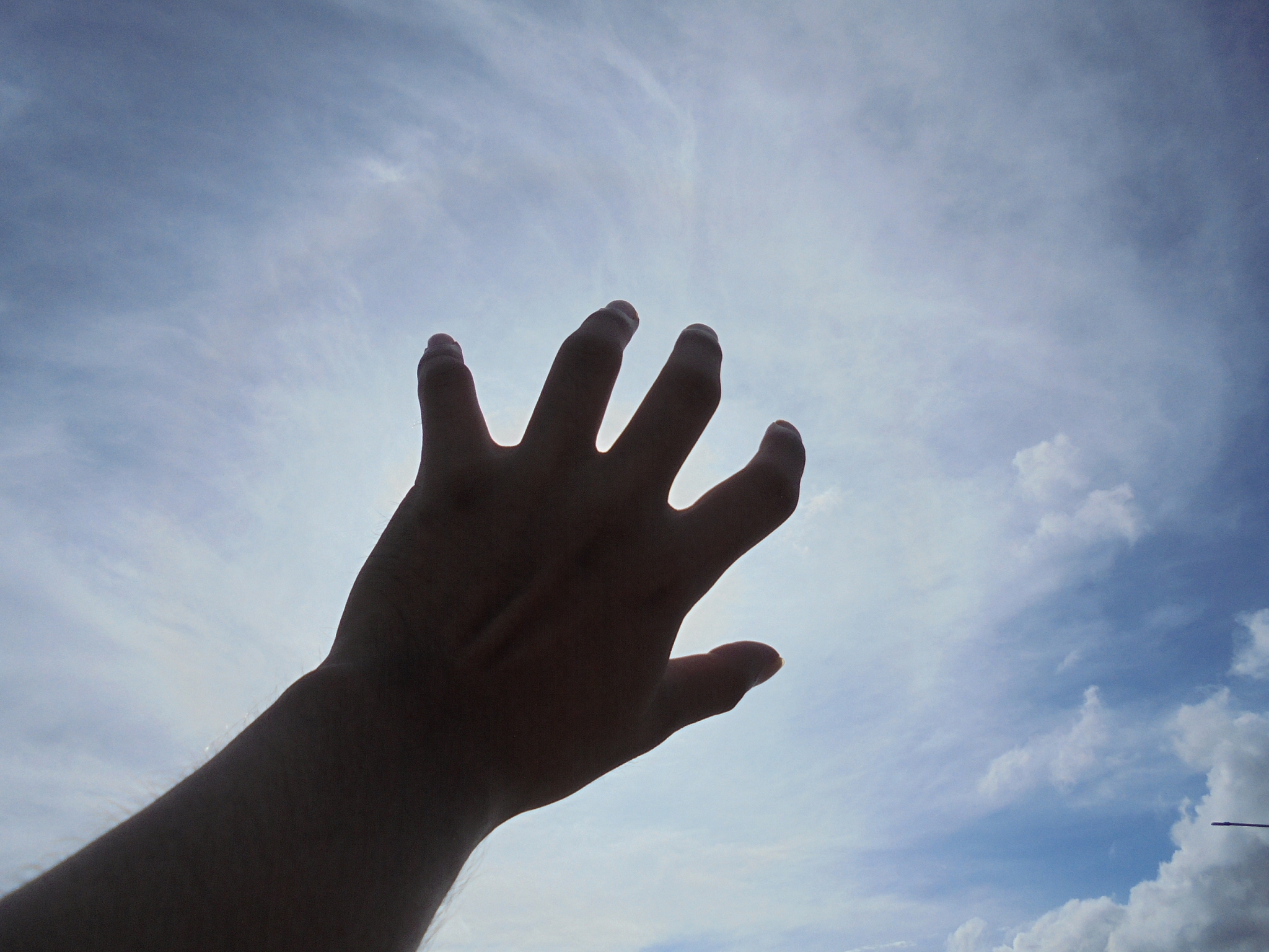 cropped hand reaching sky