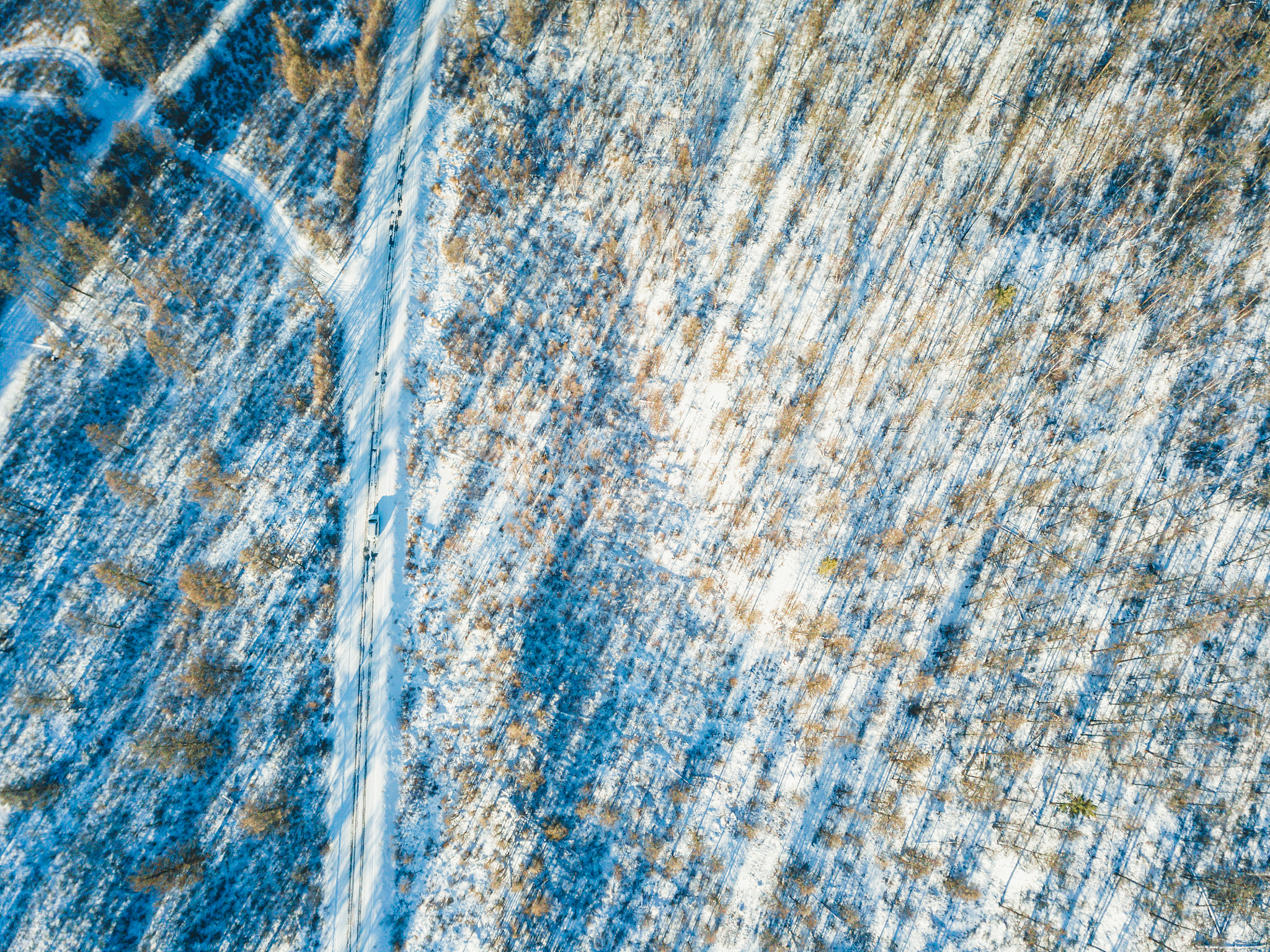 内蒙古呼伦贝尔百姓求助指南：如何联系媒体解决难题