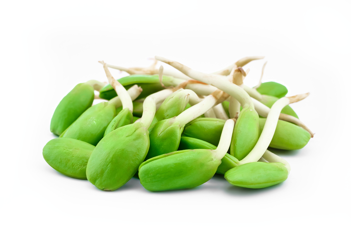 白扁豆 vs. 炒白扁豆：区别、营养、烹饪方式 - 300字解读