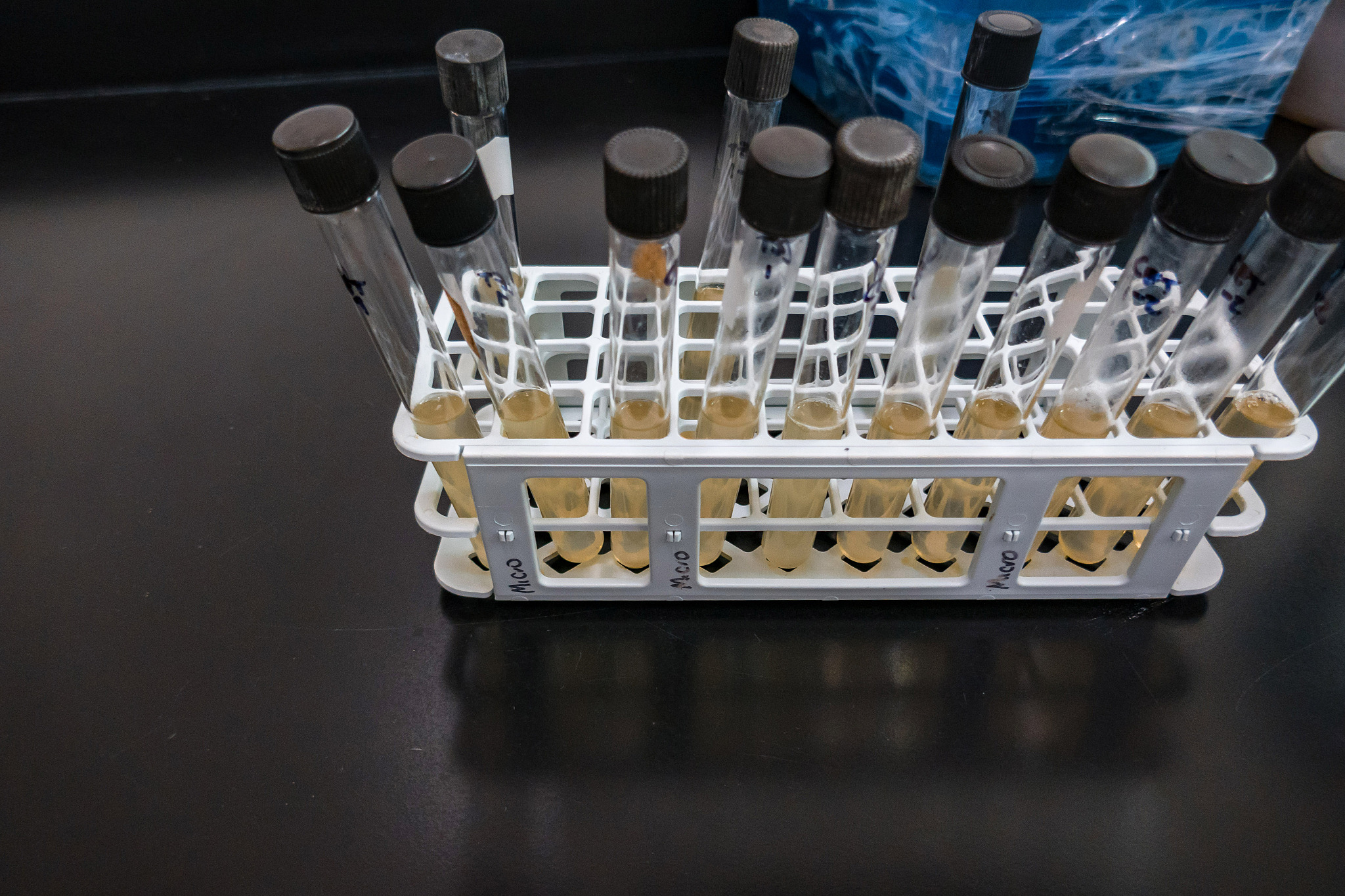 拟成立一个公司从事微反应器可控制备功能微纳结构探针、糖基配体特异性识别研发、磁流控声流控疾病标志物高效分离纯化以及便携式玻璃毛细管体外诊断装备研制介绍目标市场定位、上市、促销、定价等营销策略。不少于1500字