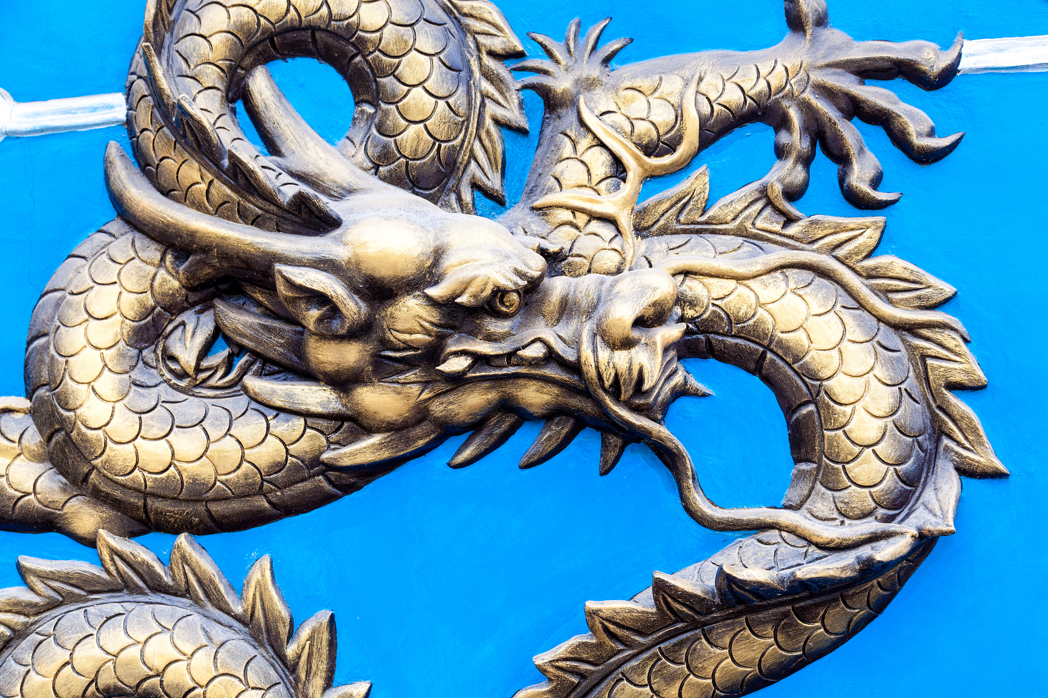 dragon