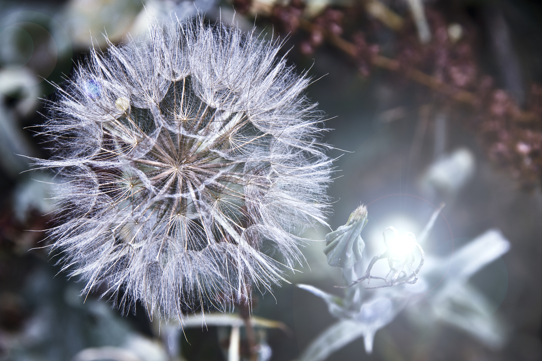 写一篇海南农业种子繁育管理的述职报告